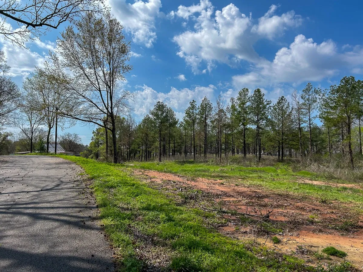 Unimproved Land For Sale in Angelina County , 0 Kurth Drive, Lufkin, Texas 75904, 0, 0, Garage spaces, 0 Sqft, built in 0, Price $255,728, mls#20554077, Real Estate Agent in Lufkin, Homes For Sale in Angelina county, Homes For Sale in Lufkin, Realtor in Lufkin Texas, Real Estate Brokerage Independent Realty Texas, Luminita Cordes Realtor