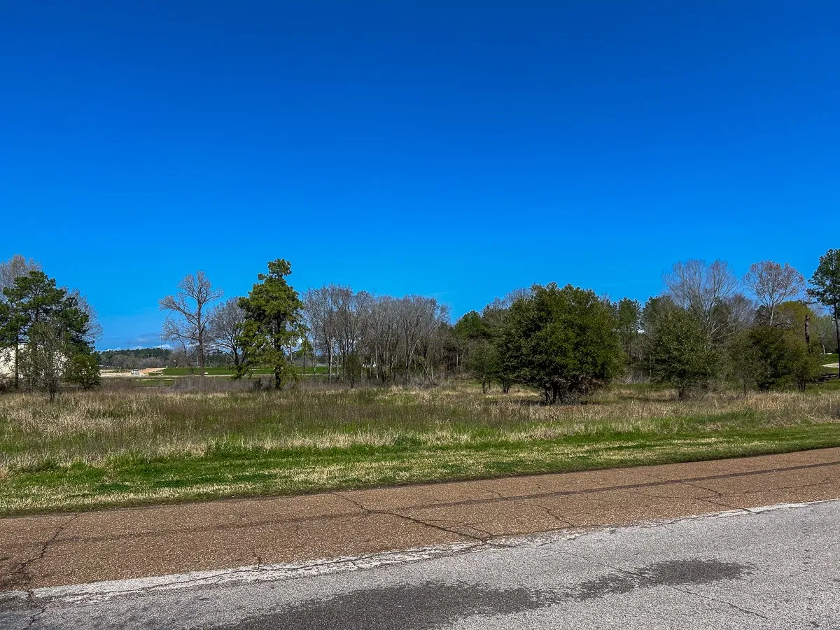 Unimproved Land For Sale in Angelina County , 0 Kurth Drive, Lufkin, Texas 75904, 0, 0, Garage spaces, 0 Sqft, built in 0, Price $255,728, mls#20554077, Real Estate Agent in Lufkin, Homes For Sale in Angelina county, Homes For Sale in Lufkin, Realtor in Lufkin Texas, Real Estate Brokerage Independent Realty Texas, Luminita Cordes Realtor