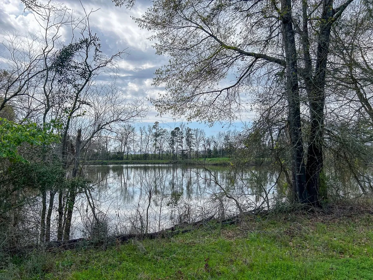 Unimproved Land For Sale in Angelina County , 0 Kurth Drive, Lufkin, Texas 75904, 0, 0, Garage spaces, 0 Sqft, built in 0, Price $255,728, mls#20554077, Real Estate Agent in Lufkin, Homes For Sale in Angelina county, Homes For Sale in Lufkin, Realtor in Lufkin Texas, Real Estate Brokerage Independent Realty Texas, Luminita Cordes Realtor