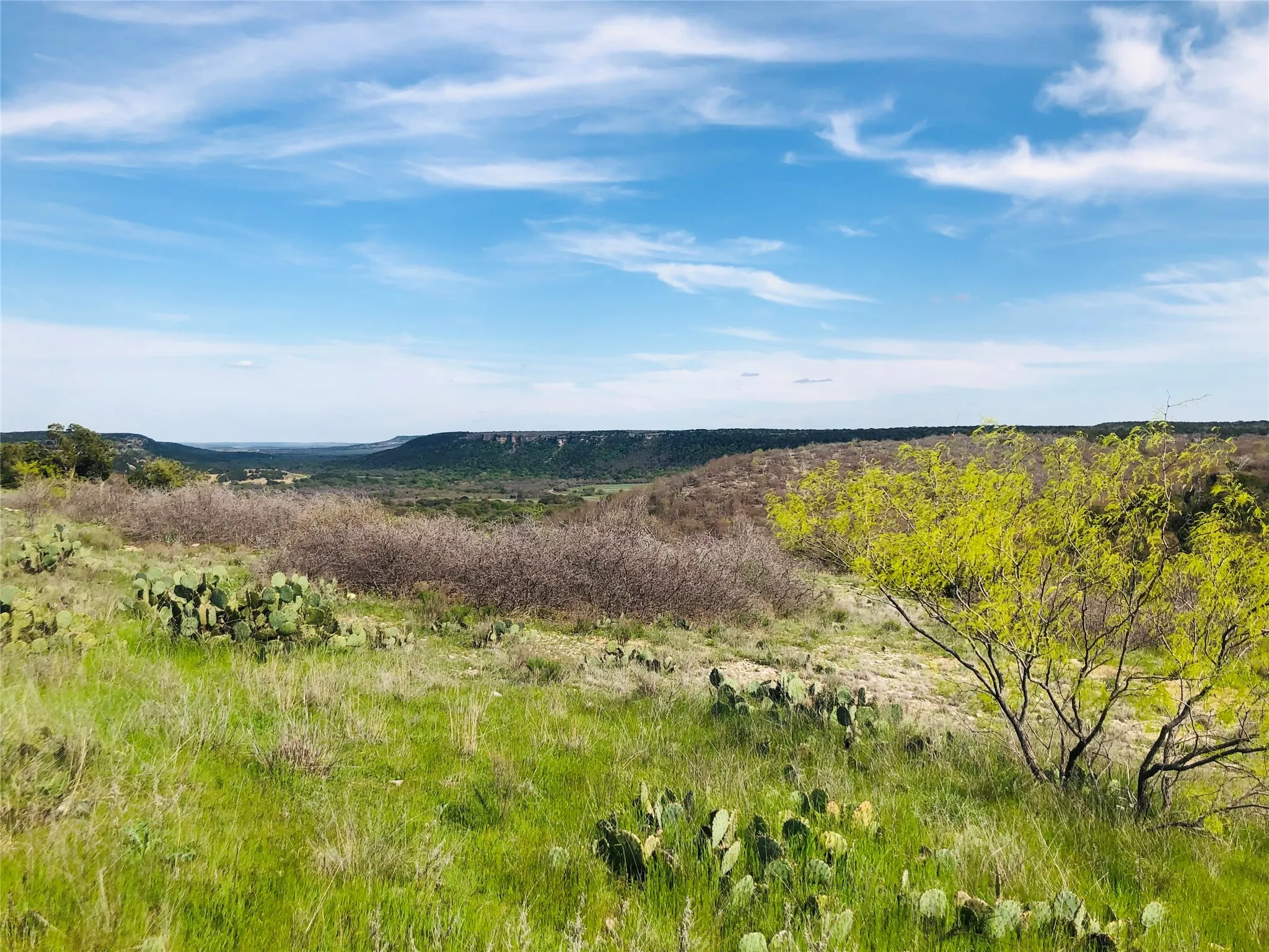 Unimproved Land For Sale in Palo Pinto County , Lot 220 Oak Tree Drive, Possum Kingdom Lake, Texas 76449, 0, 0, Garage spaces, 0 Sqft, built in 0, mls#20565242, Real Estate Agent in Possum Kingdom Lake, Homes For Sale in Palo Pinto county, Homes For Sale in Possum Kingdom Lake, Realtor in Possum Kingdom Lake Texas, Real Estate Brokerage Independent Realty Texas, Luminita Cordes Realtor