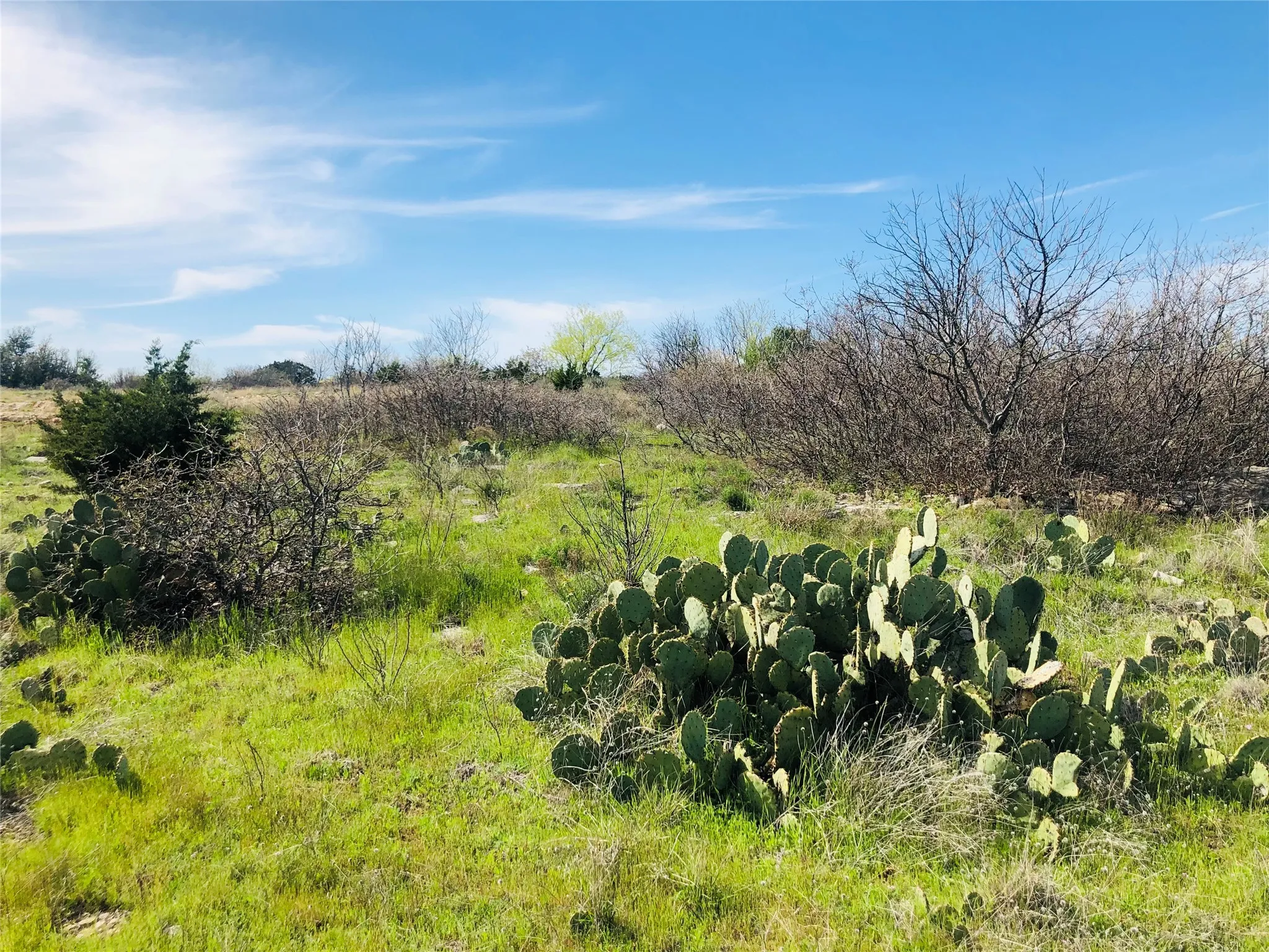 Unimproved Land For Sale in Palo Pinto County , Lot 220 Oak Tree Drive, Possum Kingdom Lake, Texas 76449, 0, 0, Garage spaces, 0 Sqft, built in 0, mls#20565242, Real Estate Agent in Possum Kingdom Lake, Homes For Sale in Palo Pinto county, Homes For Sale in Possum Kingdom Lake, Realtor in Possum Kingdom Lake Texas, Real Estate Brokerage Independent Realty Texas, Luminita Cordes Realtor