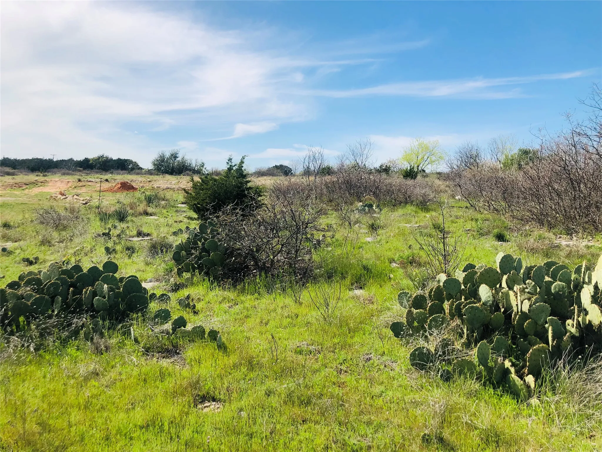 Oversized, full size lot right on the #5 fairway, a beautiful par 4 on the Cliff's golf course.