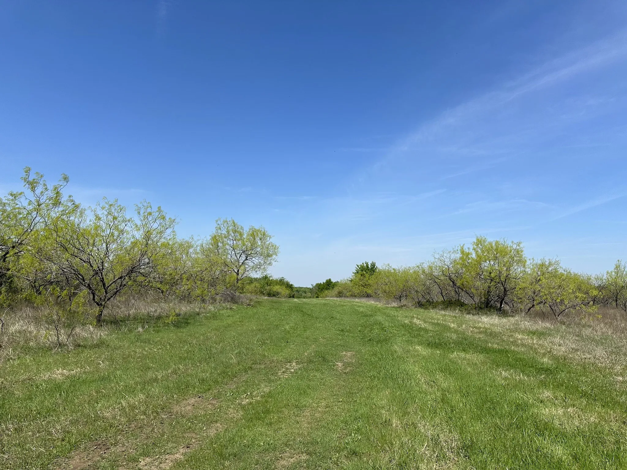Unimproved Land For Sale in Navarro County , TBD 149.71 Acres SE CR 1240, Streetman, Texas 75859, 0, 0, Garage spaces, 0 Sqft, built in 0, mls#20557110, Real Estate Agent in Streetman, Homes For Sale in Navarro county, Homes For Sale in Streetman, Realtor in Streetman Texas, Real Estate Brokerage Independent Realty Texas, Luminita Cordes Realtor