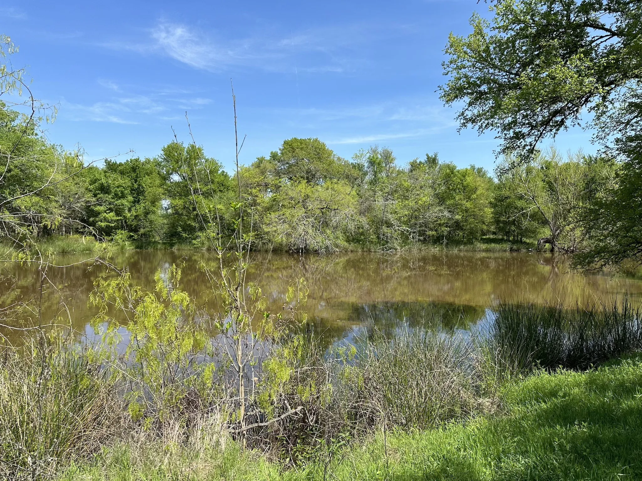 Unimproved Land For Sale in Navarro County , TBD 149.71 Acres SE CR 1240, Streetman, Texas 75859, 0, 0, Garage spaces, 0 Sqft, built in 0, mls#20557110, Real Estate Agent in Streetman, Homes For Sale in Navarro county, Homes For Sale in Streetman, Realtor in Streetman Texas, Real Estate Brokerage Independent Realty Texas, Luminita Cordes Realtor
