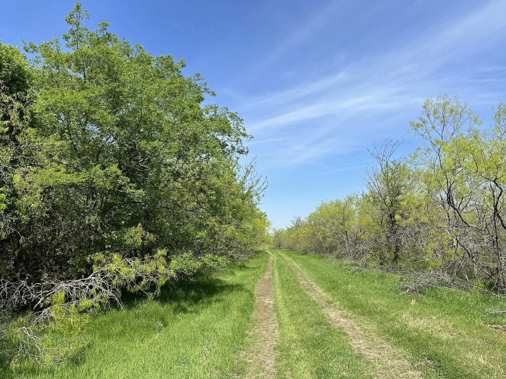 Unimproved Land For Sale in Navarro County , TBD 149.71 Acres SE CR 1240, Streetman, Texas 75859, 0, 0, Garage spaces, 0 Sqft, built in 0, mls#20557110, Real Estate Agent in Streetman, Homes For Sale in Navarro county, Homes For Sale in Streetman, Realtor in Streetman Texas, Real Estate Brokerage Independent Realty Texas, Luminita Cordes Realtor