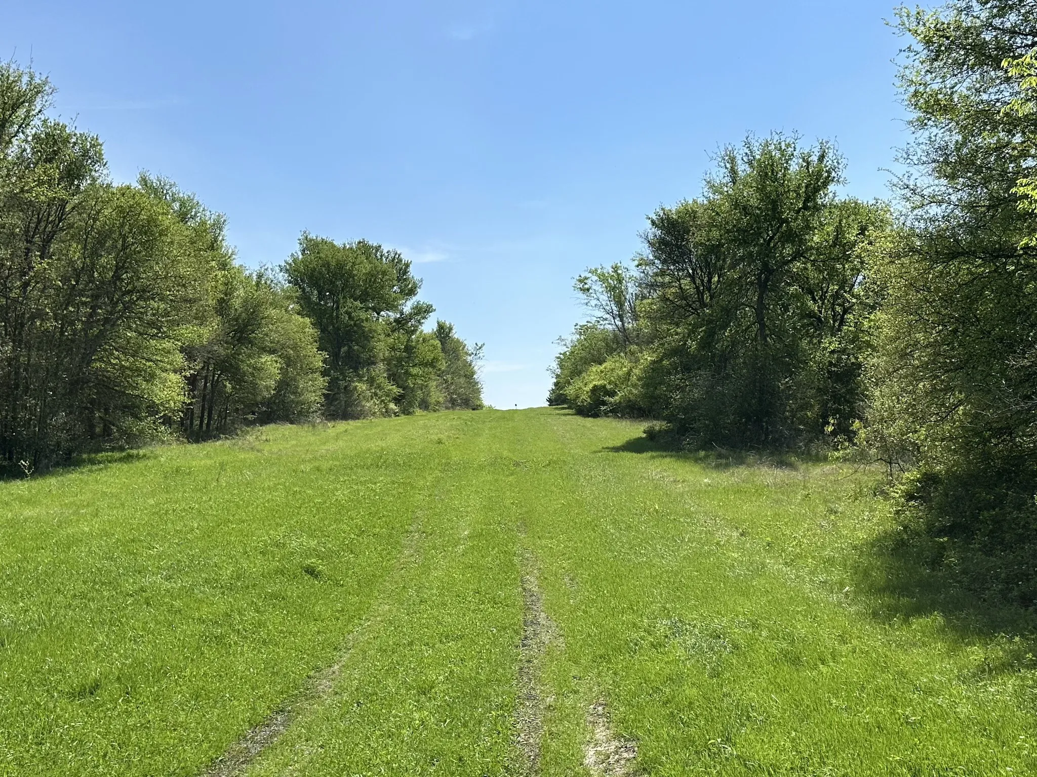 Unimproved Land For Sale in Navarro County , TBD 149.71 Acres SE CR 1240, Streetman, Texas 75859, 0, 0, Garage spaces, 0 Sqft, built in 0, mls#20557110, Real Estate Agent in Streetman, Homes For Sale in Navarro county, Homes For Sale in Streetman, Realtor in Streetman Texas, Real Estate Brokerage Independent Realty Texas, Luminita Cordes Realtor