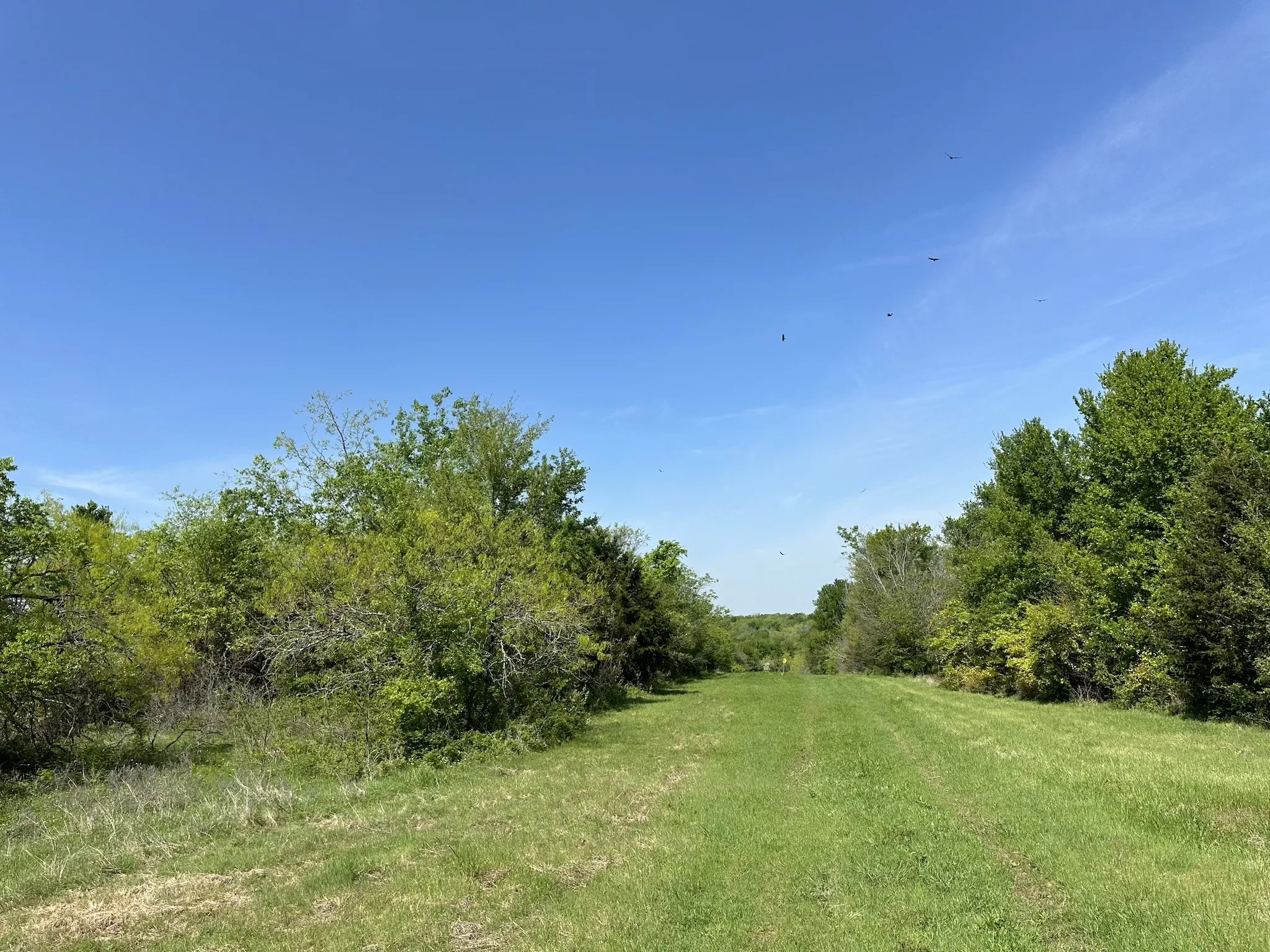 Unimproved Land For Sale in Navarro County , TBD 149.71 Acres SE CR 1240, Streetman, Texas 75859, 0, 0, Garage spaces, 0 Sqft, built in 0, mls#20557110, Real Estate Agent in Streetman, Homes For Sale in Navarro county, Homes For Sale in Streetman, Realtor in Streetman Texas, Real Estate Brokerage Independent Realty Texas, Luminita Cordes Realtor