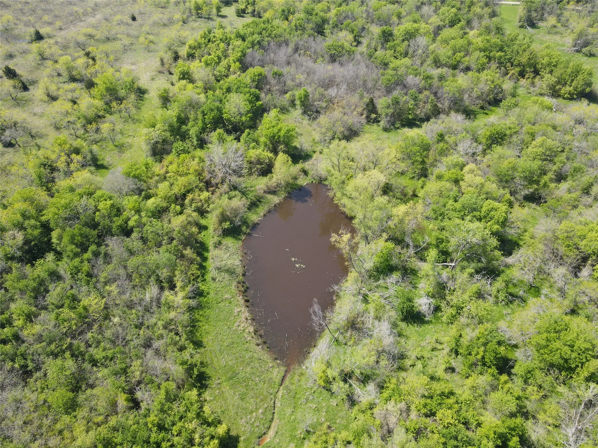 Unimproved Land For Sale in Navarro County , TBD 149.71 Acres SE CR 1240, Streetman, Texas 75859, 0, 0, Garage spaces, 0 Sqft, built in 0, mls#20557110, Real Estate Agent in Streetman, Homes For Sale in Navarro county, Homes For Sale in Streetman, Realtor in Streetman Texas, Real Estate Brokerage Independent Realty Texas, Luminita Cordes Realtor