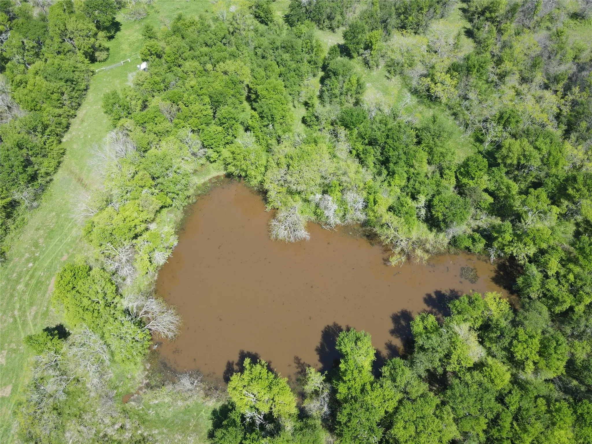 Unimproved Land For Sale in Navarro County , TBD 149.71 Acres SE CR 1240, Streetman, Texas 75859, 0, 0, Garage spaces, 0 Sqft, built in 0, mls#20557110, Real Estate Agent in Streetman, Homes For Sale in Navarro county, Homes For Sale in Streetman, Realtor in Streetman Texas, Real Estate Brokerage Independent Realty Texas, Luminita Cordes Realtor