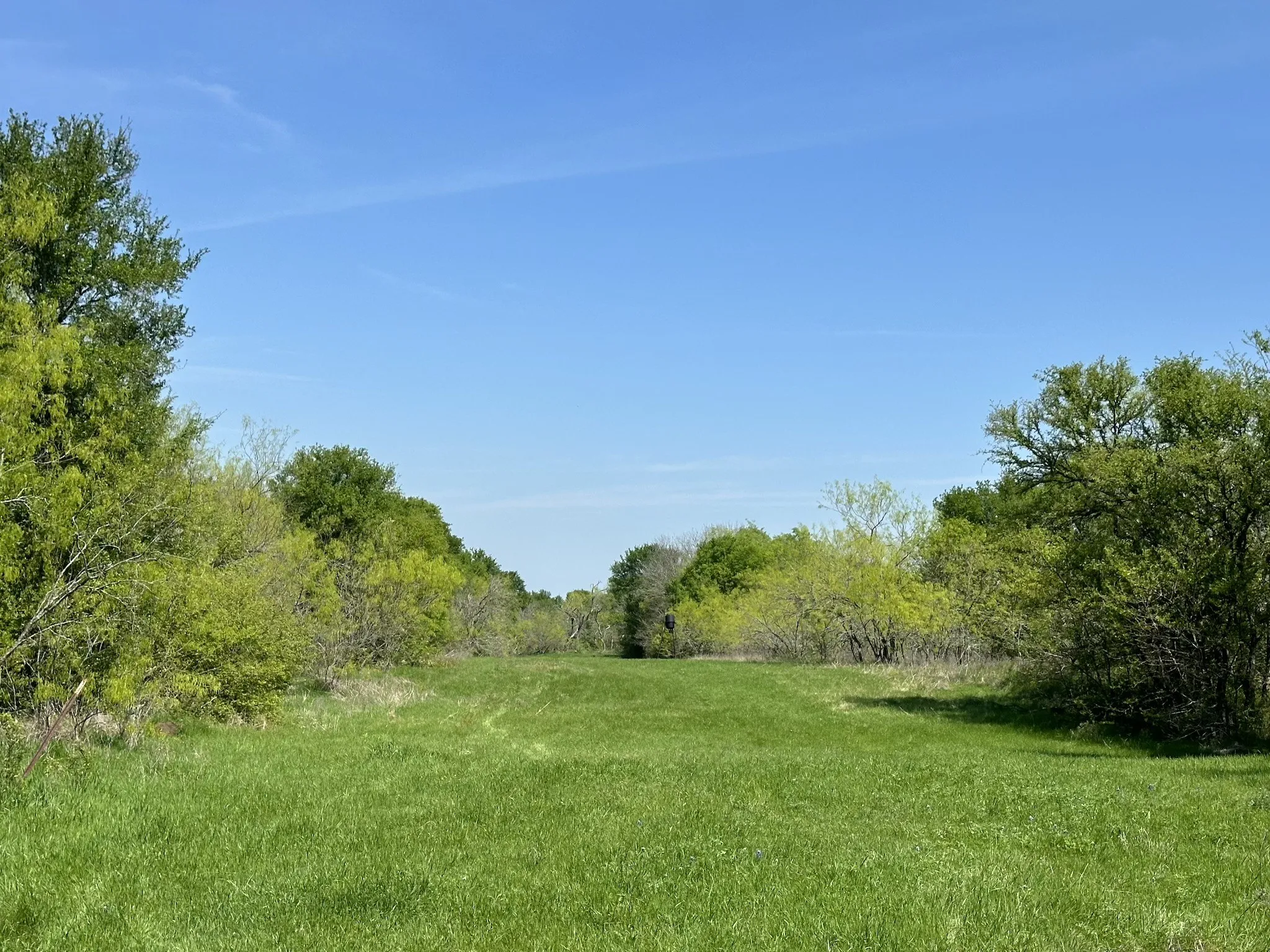 Unimproved Land For Sale in Navarro County , TBD 149.71 Acres SE CR 1240, Streetman, Texas 75859, 0, 0, Garage spaces, 0 Sqft, built in 0, mls#20557110, Real Estate Agent in Streetman, Homes For Sale in Navarro county, Homes For Sale in Streetman, Realtor in Streetman Texas, Real Estate Brokerage Independent Realty Texas, Luminita Cordes Realtor