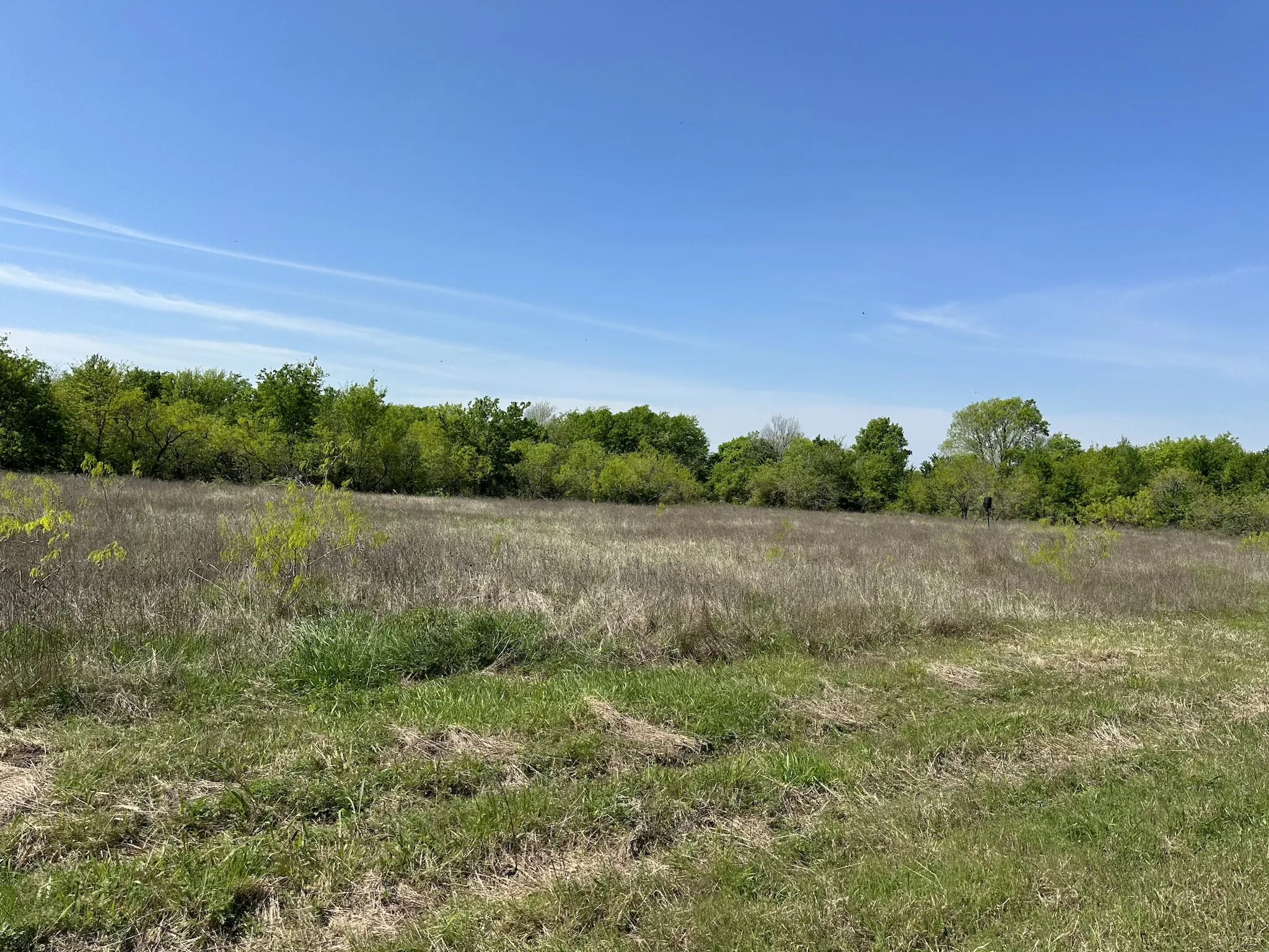 Unimproved Land For Sale in Navarro County , TBD 149.71 Acres SE CR 1240, Streetman, Texas 75859, 0, 0, Garage spaces, 0 Sqft, built in 0, mls#20557110, Real Estate Agent in Streetman, Homes For Sale in Navarro county, Homes For Sale in Streetman, Realtor in Streetman Texas, Real Estate Brokerage Independent Realty Texas, Luminita Cordes Realtor