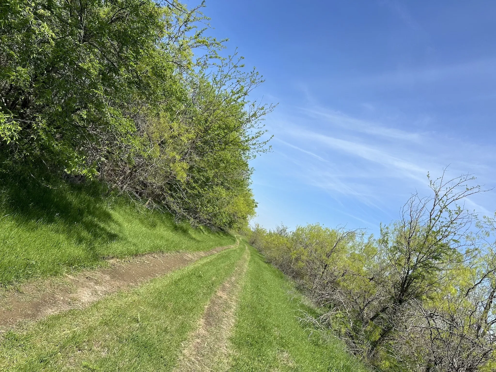 Unimproved Land For Sale in Navarro County , TBD 149.71 Acres SE CR 1240, Streetman, Texas 75859, 0, 0, Garage spaces, 0 Sqft, built in 0, mls#20557110, Real Estate Agent in Streetman, Homes For Sale in Navarro county, Homes For Sale in Streetman, Realtor in Streetman Texas, Real Estate Brokerage Independent Realty Texas, Luminita Cordes Realtor