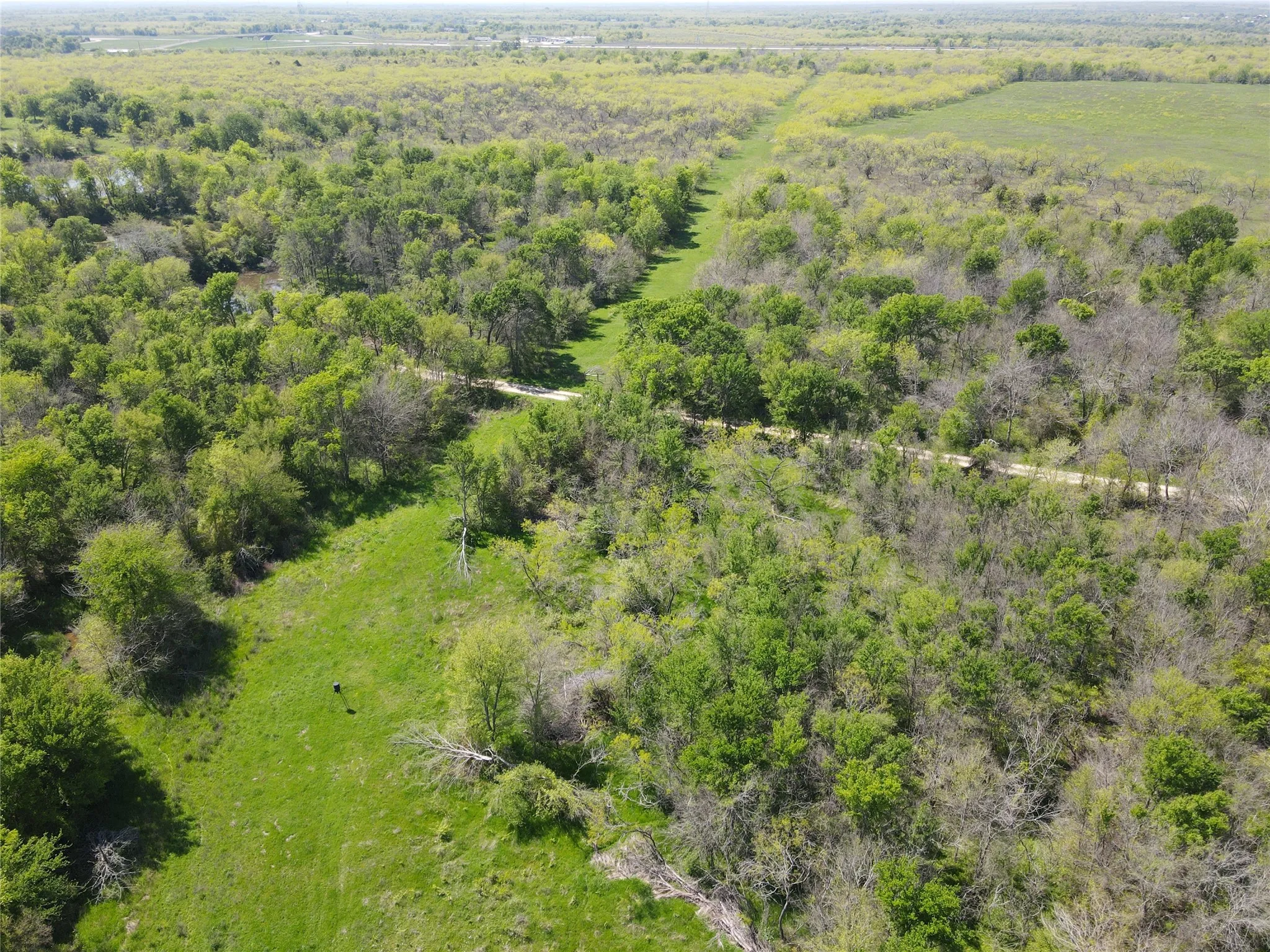 Unimproved Land For Sale in Navarro County , TBD 149.71 Acres SE CR 1240, Streetman, Texas 75859, 0, 0, Garage spaces, 0 Sqft, built in 0, mls#20557110, Real Estate Agent in Streetman, Homes For Sale in Navarro county, Homes For Sale in Streetman, Realtor in Streetman Texas, Real Estate Brokerage Independent Realty Texas, Luminita Cordes Realtor