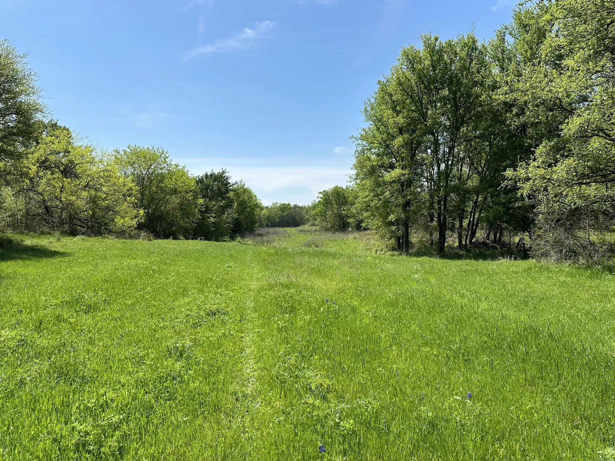 Unimproved Land For Sale in Navarro County , TBD 149.71 Acres SE CR 1240, Streetman, Texas 75859, 0, 0, Garage spaces, 0 Sqft, built in 0, mls#20557110, Real Estate Agent in Streetman, Homes For Sale in Navarro county, Homes For Sale in Streetman, Realtor in Streetman Texas, Real Estate Brokerage Independent Realty Texas, Luminita Cordes Realtor