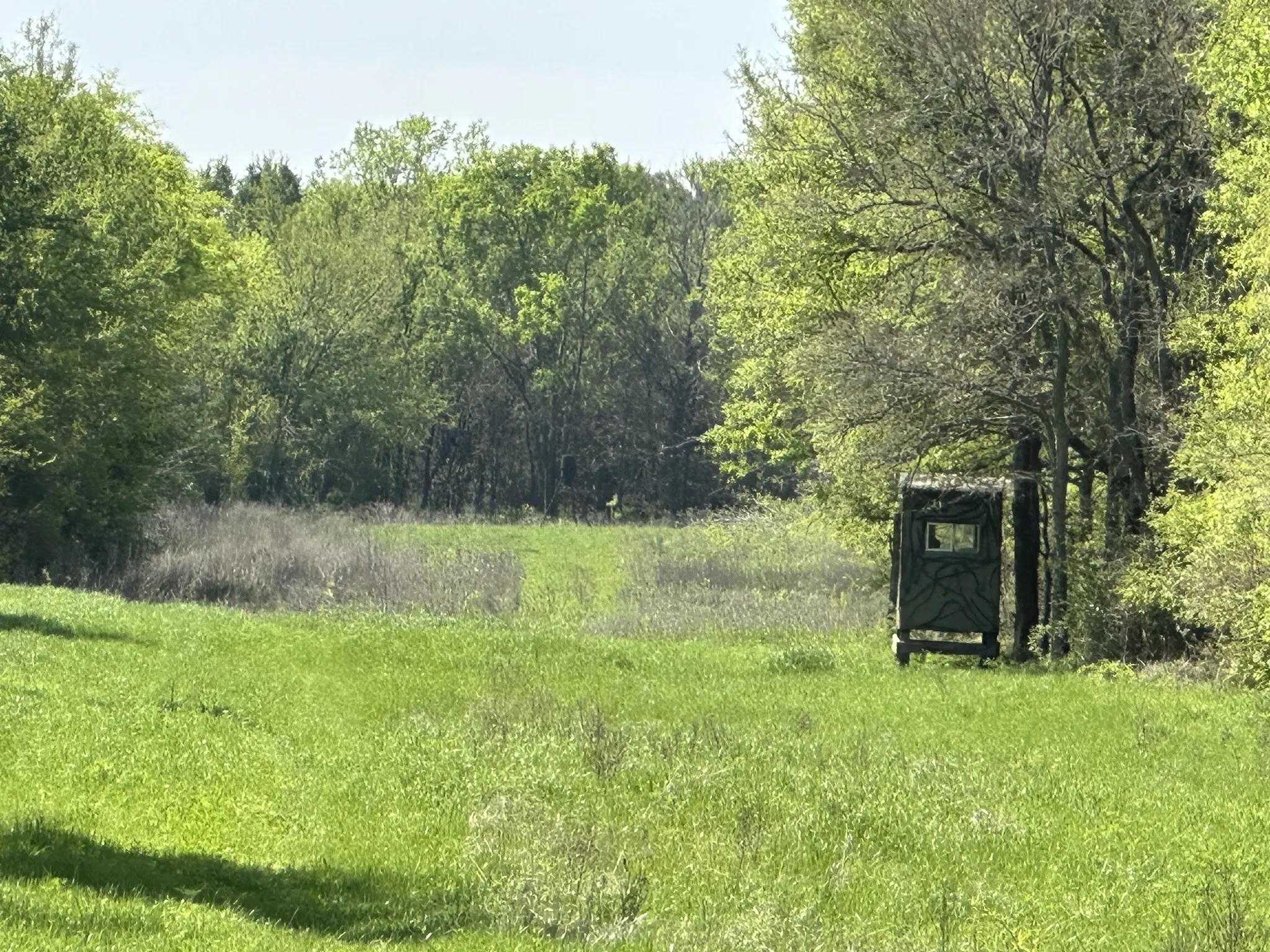 Unimproved Land For Sale in Navarro County , TBD 149.71 Acres SE CR 1240, Streetman, Texas 75859, 0, 0, Garage spaces, 0 Sqft, built in 0, mls#20557110, Real Estate Agent in Streetman, Homes For Sale in Navarro county, Homes For Sale in Streetman, Realtor in Streetman Texas, Real Estate Brokerage Independent Realty Texas, Luminita Cordes Realtor