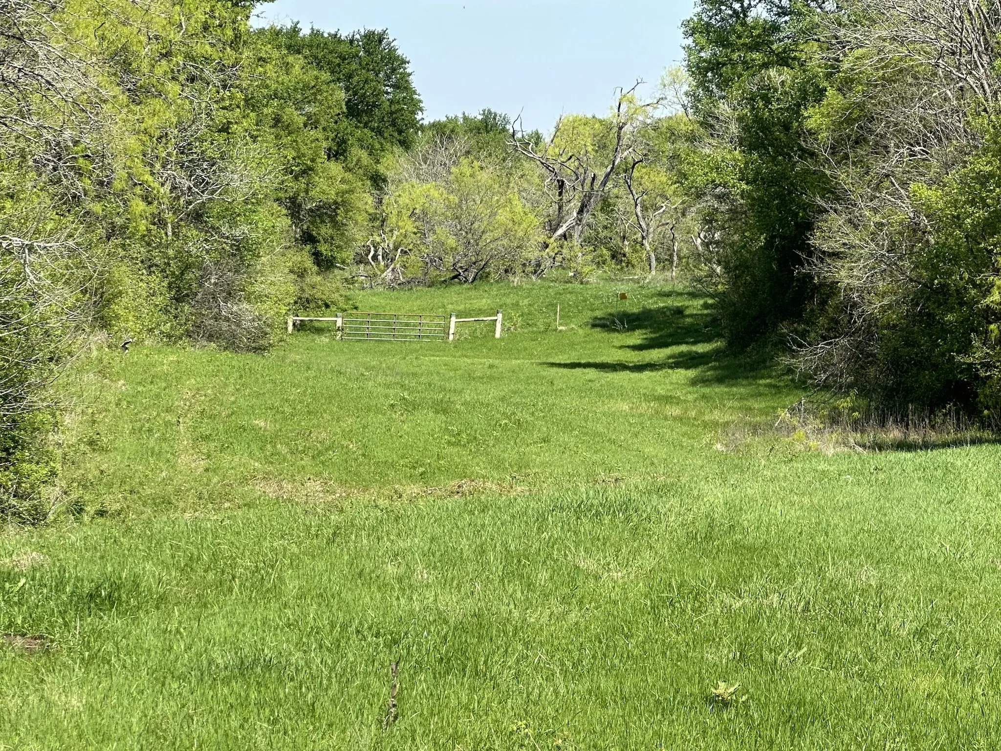 Unimproved Land For Sale in Navarro County , TBD 149.71 Acres SE CR 1240, Streetman, Texas 75859, 0, 0, Garage spaces, 0 Sqft, built in 0, mls#20557110, Real Estate Agent in Streetman, Homes For Sale in Navarro county, Homes For Sale in Streetman, Realtor in Streetman Texas, Real Estate Brokerage Independent Realty Texas, Luminita Cordes Realtor