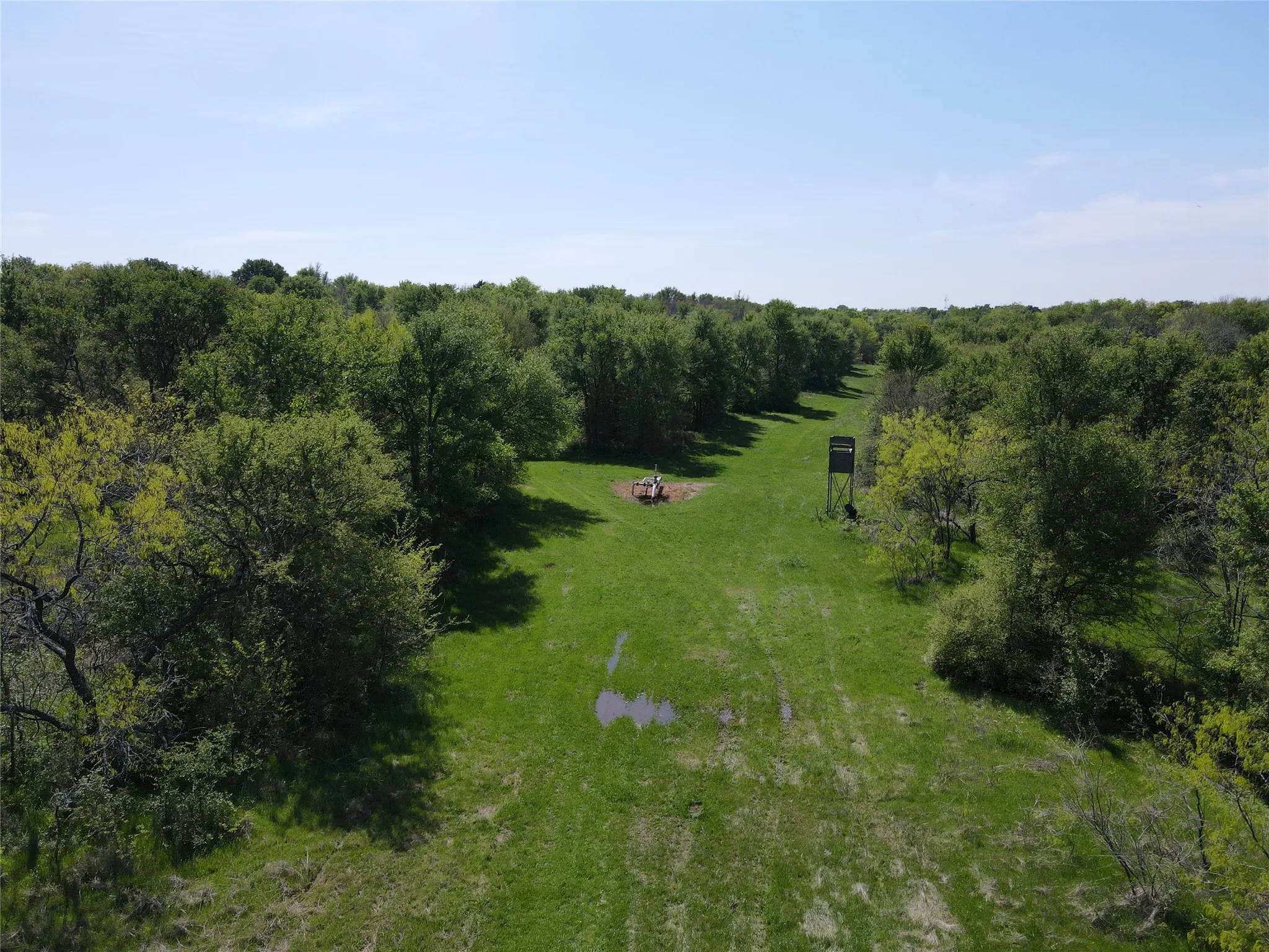 Unimproved Land For Sale in Navarro County , TBD 149.71 Acres SE CR 1240, Streetman, Texas 75859, 0, 0, Garage spaces, 0 Sqft, built in 0, mls#20557110, Real Estate Agent in Streetman, Homes For Sale in Navarro county, Homes For Sale in Streetman, Realtor in Streetman Texas, Real Estate Brokerage Independent Realty Texas, Luminita Cordes Realtor