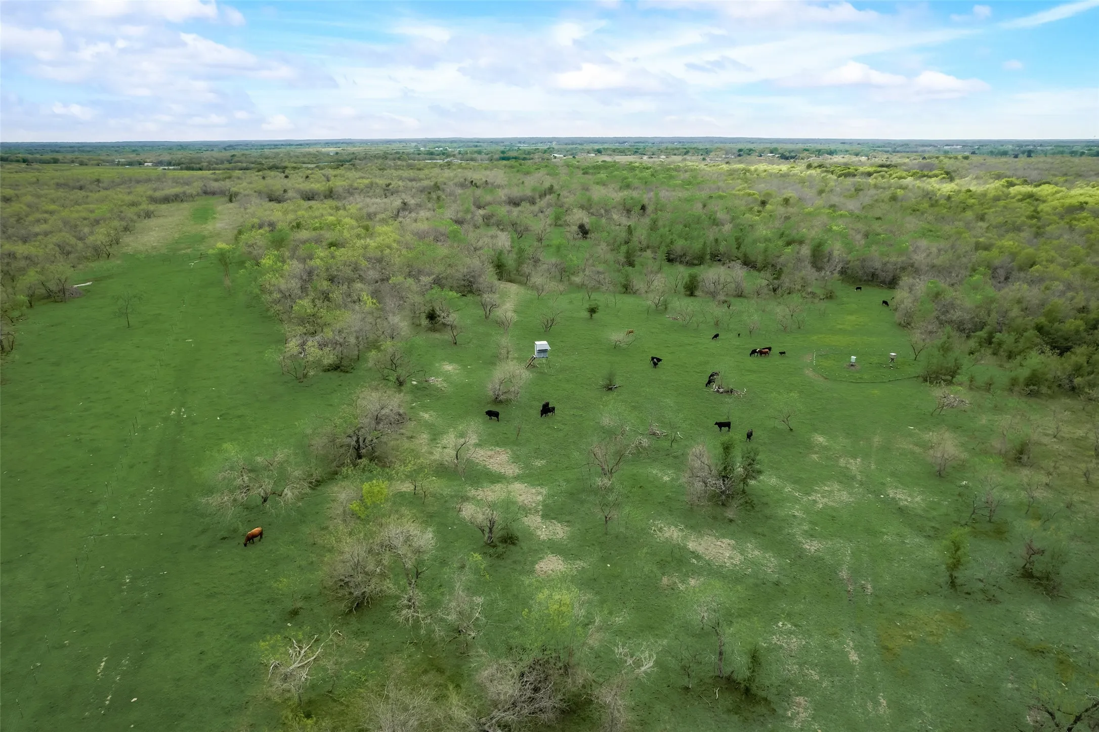 Unimproved Land For Sale in Kaufman County , TBD Cr-146 Tract 55, Kaufman, Texas 75142, 0, 0, Garage spaces, 0 Sqft, built in 0, mls#20567712, Real Estate Agent in Kaufman, Homes For Sale in Kaufman county, Homes For Sale in Kaufman, Realtor in Kaufman Texas, Real Estate Brokerage Independent Realty Texas, Luminita Cordes Realtor