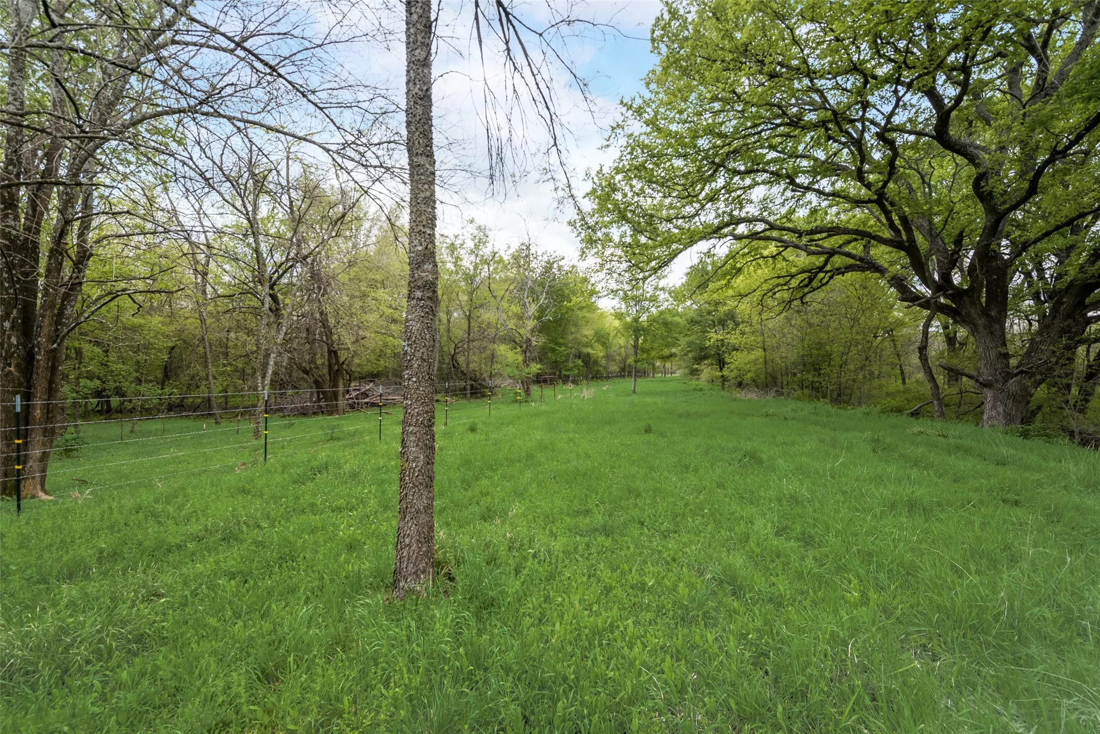 Unimproved Land For Sale in Kaufman County , TBD Cr-146 Tract 55, Kaufman, Texas 75142, 0, 0, Garage spaces, 0 Sqft, built in 0, mls#20567712, Real Estate Agent in Kaufman, Homes For Sale in Kaufman county, Homes For Sale in Kaufman, Realtor in Kaufman Texas, Real Estate Brokerage Independent Realty Texas, Luminita Cordes Realtor