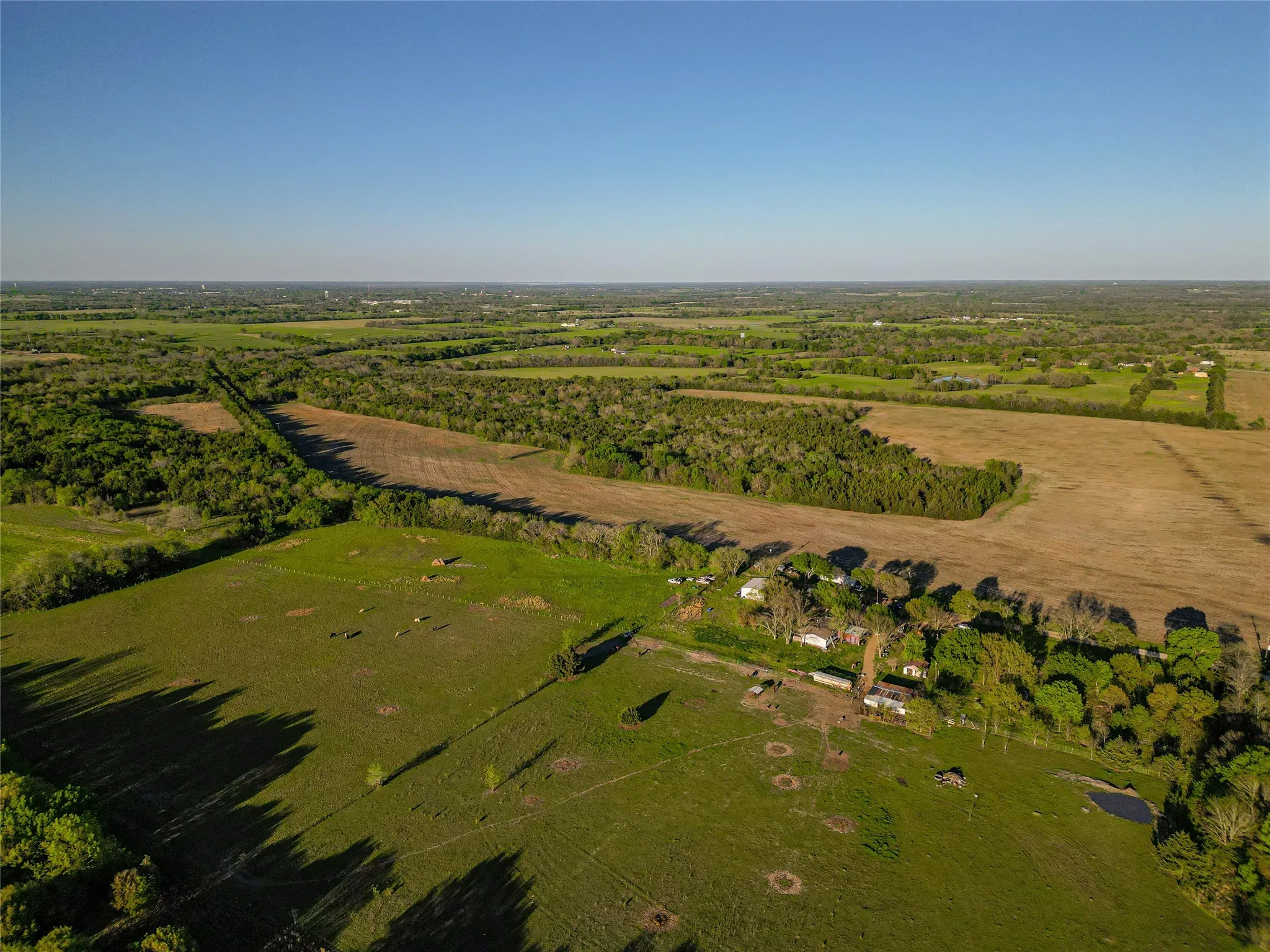 wooded portion of ground in middle of tilled ground