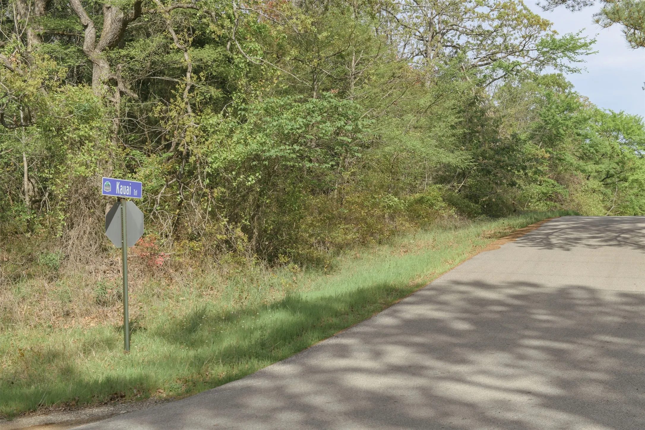 Unimproved Land For Sale in Henderson County , 1366 Utopia Road, Tool, Texas 75143, 0, 0, Garage spaces, 0 Sqft, built in 0, mls#20569977, Real Estate Agent in Tool, Homes For Sale in Henderson county, Homes For Sale in Tool, Realtor in Tool Texas, Real Estate Brokerage Independent Realty Texas, Luminita Cordes Realtor