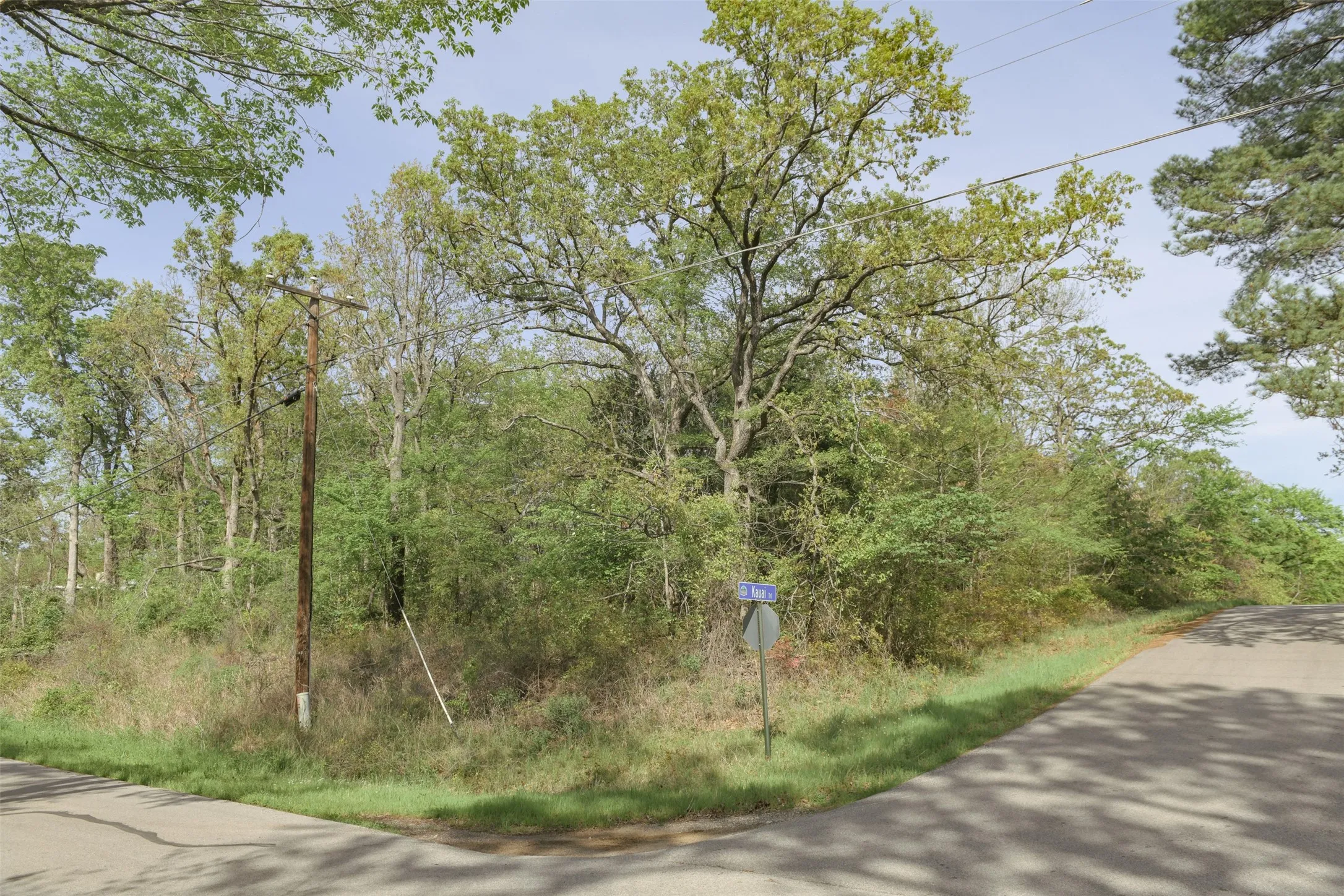 Unimproved Land For Sale in Henderson County , 1366 Utopia Road, Tool, Texas 75143, 0, 0, Garage spaces, 0 Sqft, built in 0, mls#20569977, Real Estate Agent in Tool, Homes For Sale in Henderson county, Homes For Sale in Tool, Realtor in Tool Texas, Real Estate Brokerage Independent Realty Texas, Luminita Cordes Realtor