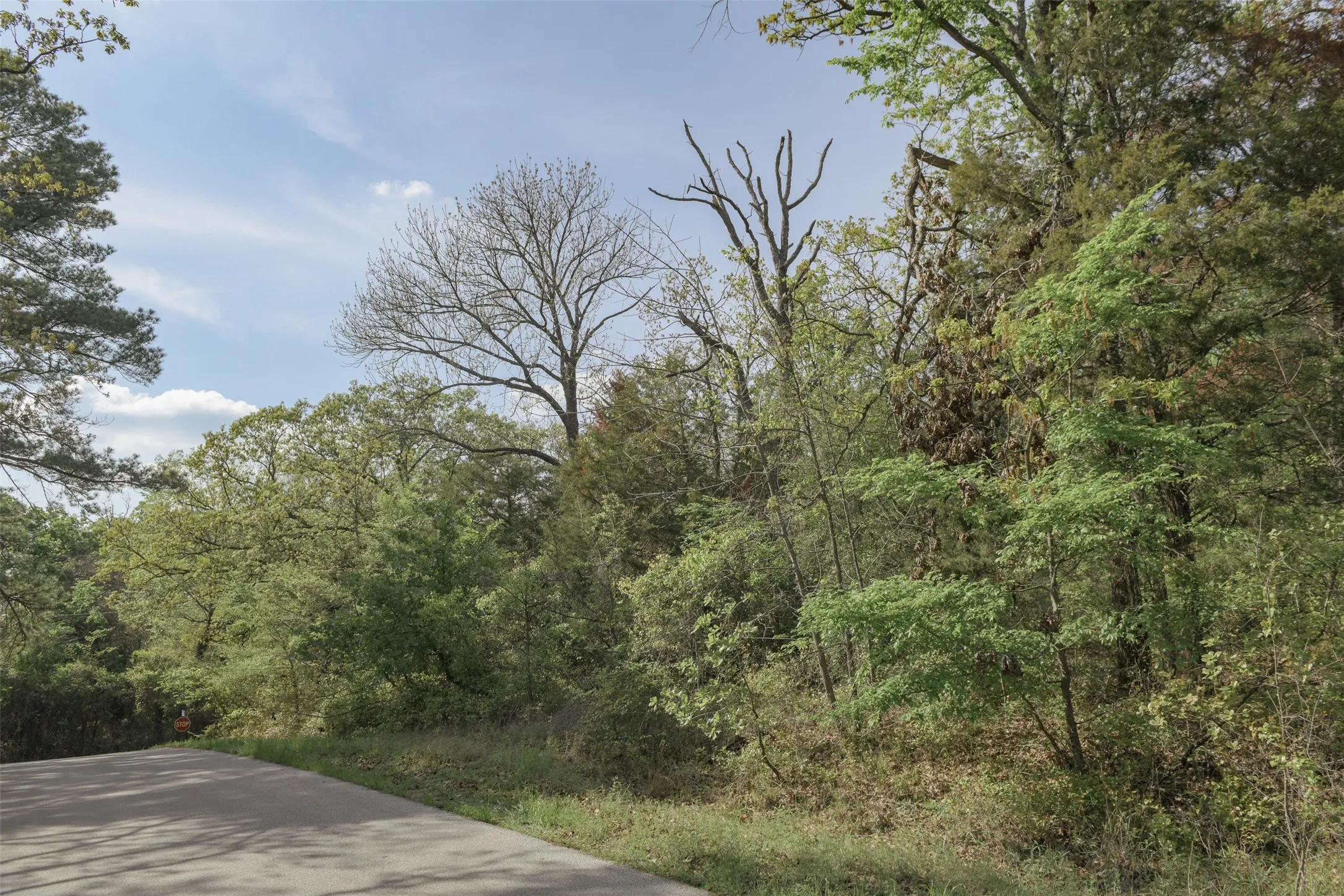 Unimproved Land For Sale in Henderson County , 1366 Utopia Road, Tool, Texas 75143, 0, 0, Garage spaces, 0 Sqft, built in 0, mls#20569977, Real Estate Agent in Tool, Homes For Sale in Henderson county, Homes For Sale in Tool, Realtor in Tool Texas, Real Estate Brokerage Independent Realty Texas, Luminita Cordes Realtor