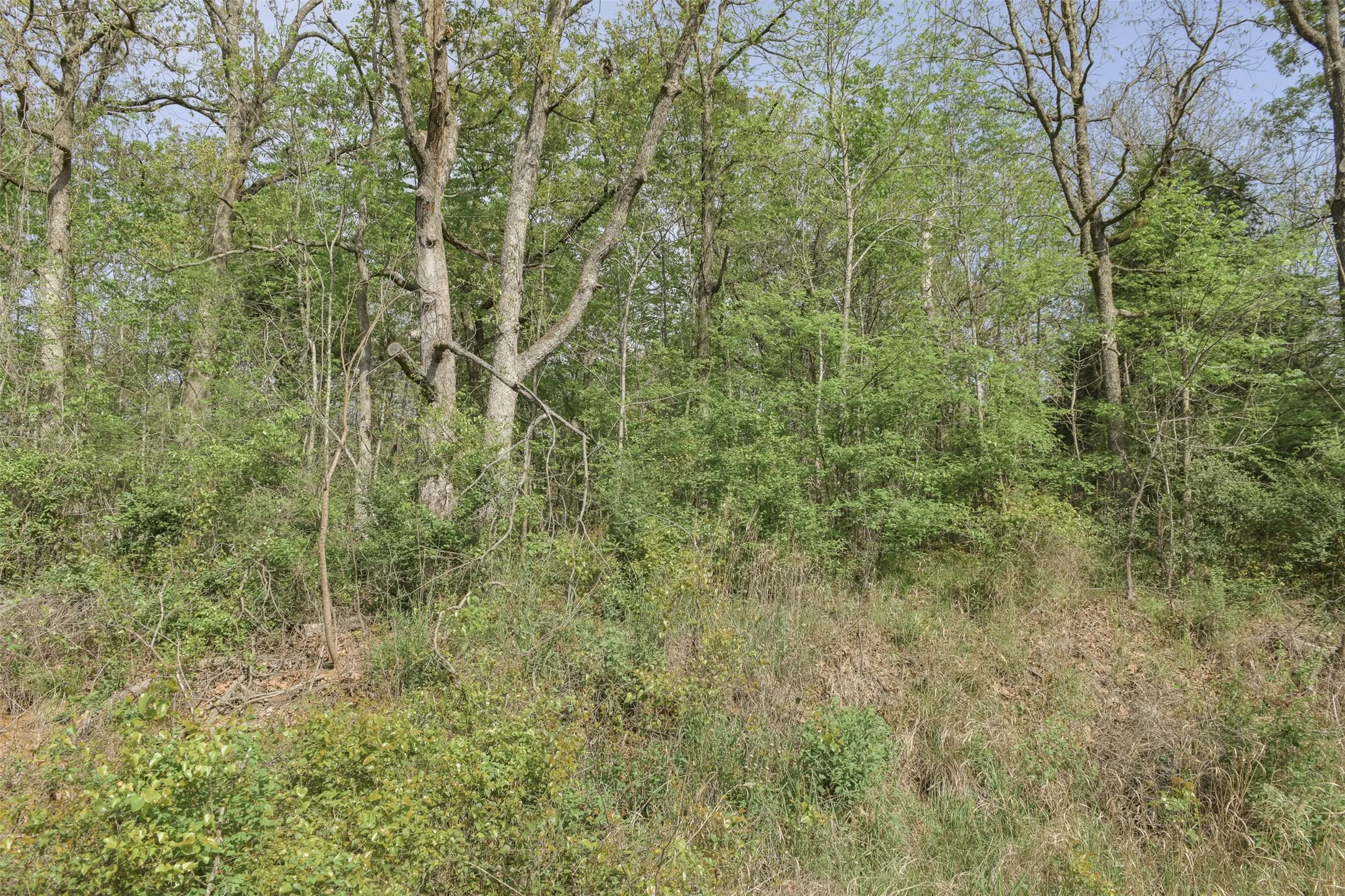 Unimproved Land For Sale in Henderson County , 1366 Utopia Road, Tool, Texas 75143, 0, 0, Garage spaces, 0 Sqft, built in 0, mls#20569977, Real Estate Agent in Tool, Homes For Sale in Henderson county, Homes For Sale in Tool, Realtor in Tool Texas, Real Estate Brokerage Independent Realty Texas, Luminita Cordes Realtor