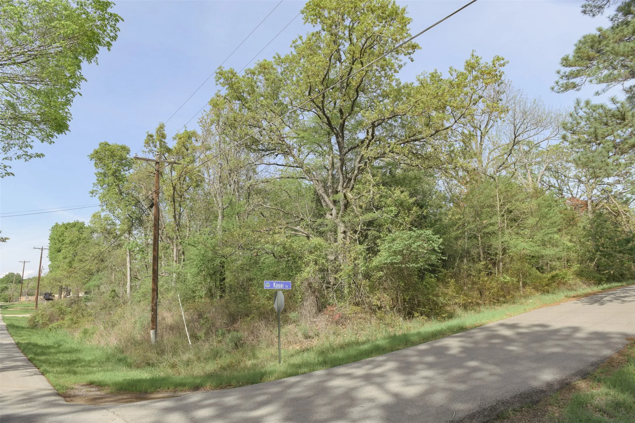 Unimproved Land For Sale in Henderson County , 1366 Utopia Road, Tool, Texas 75143, 0, 0, Garage spaces, 0 Sqft, built in 0, mls#20569977, Real Estate Agent in Tool, Homes For Sale in Henderson county, Homes For Sale in Tool, Realtor in Tool Texas, Real Estate Brokerage Independent Realty Texas, Luminita Cordes Realtor