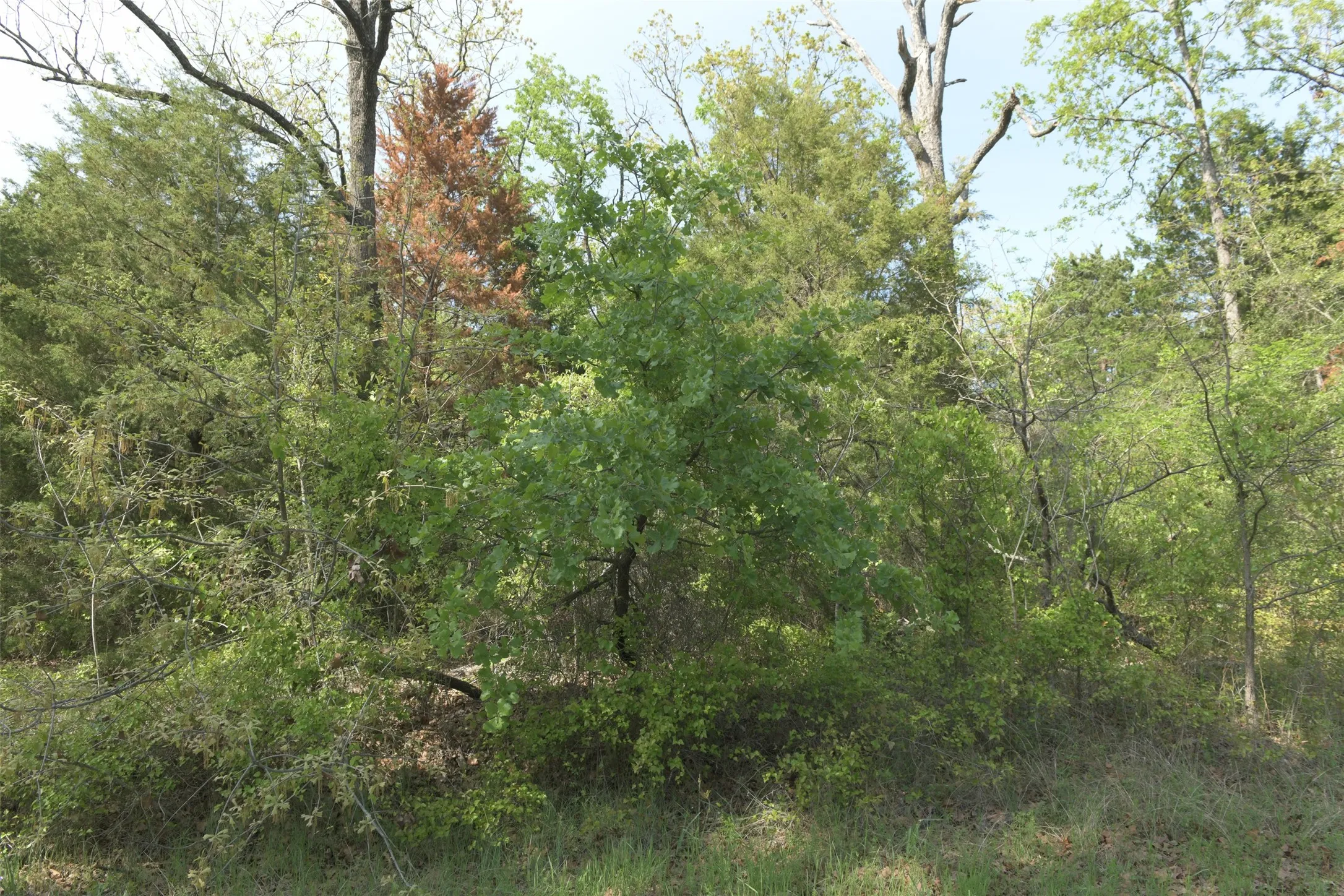 Unimproved Land For Sale in Henderson County , 1366 Utopia Road, Tool, Texas 75143, 0, 0, Garage spaces, 0 Sqft, built in 0, mls#20569977, Real Estate Agent in Tool, Homes For Sale in Henderson county, Homes For Sale in Tool, Realtor in Tool Texas, Real Estate Brokerage Independent Realty Texas, Luminita Cordes Realtor