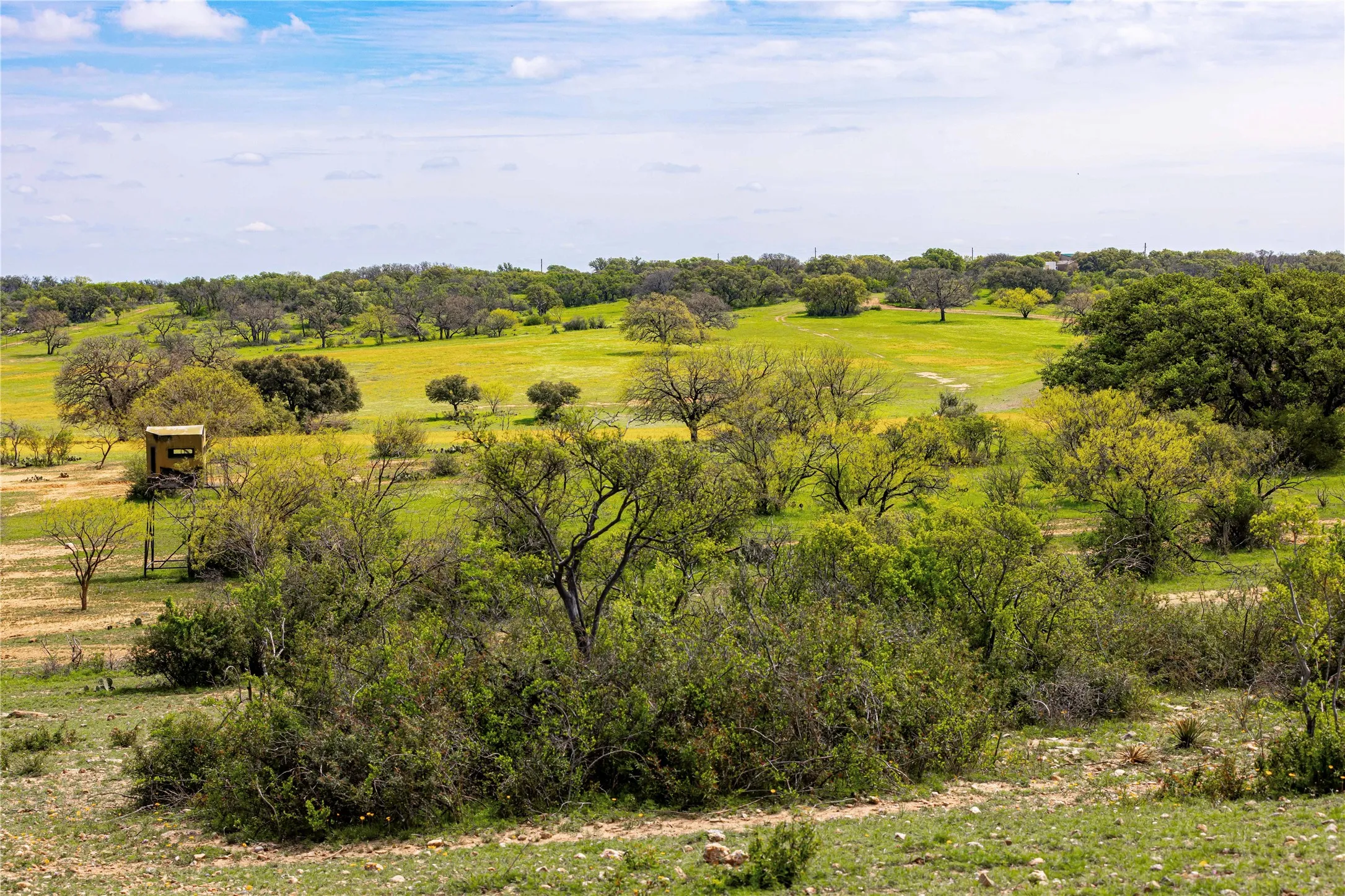 Ranch For Sale in San Saba County , 7735 Fm 502, Rochelle, Texas 76872, 0, 0, Garage spaces, 0 Sqft, built in 0, Price $4,800,000, mls#20571215, Real Estate Agent in Rochelle, Homes For Sale in San Saba county, Homes For Sale in Rochelle, Realtor in Rochelle Texas, Real Estate Brokerage Independent Realty Texas, Luminita Cordes Realtor
