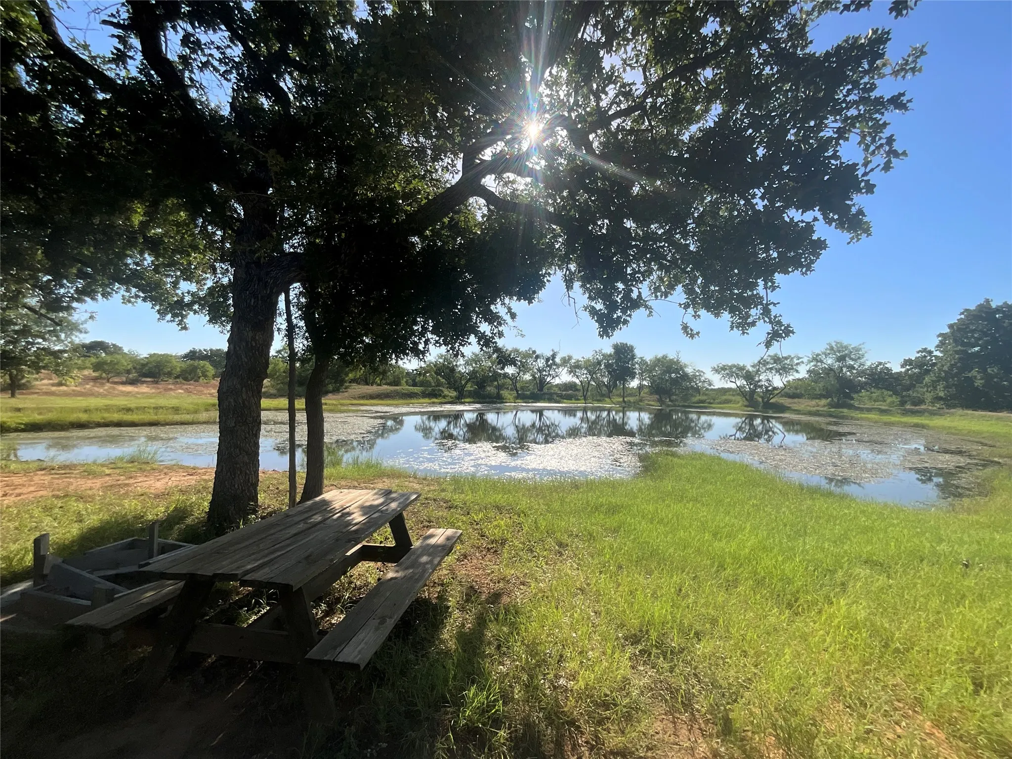 Ranch For Sale in San Saba County , 7735 Fm 502, Rochelle, Texas 76872, 0, 0, Garage spaces, 0 Sqft, built in 0, Price $4,800,000, mls#20571215, Real Estate Agent in Rochelle, Homes For Sale in San Saba county, Homes For Sale in Rochelle, Realtor in Rochelle Texas, Real Estate Brokerage Independent Realty Texas, Luminita Cordes Realtor