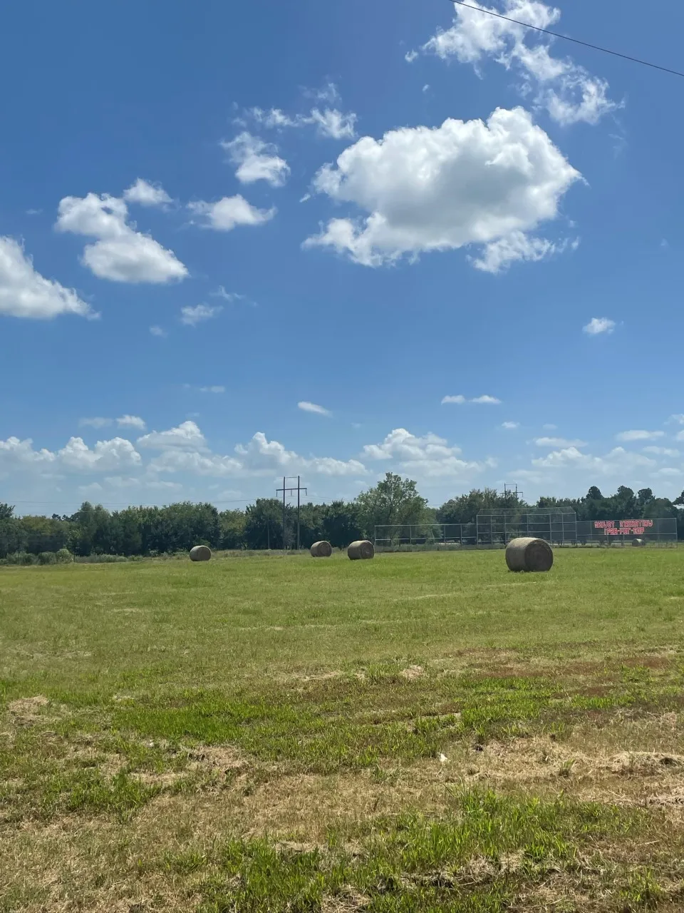 Unimproved Land For Sale in Lamar County , 000 HWY 271 S, Paris, Texas 75462, 0, 0, Garage spaces, 0 Sqft, built in 0, Price $350,000, mls#20571530, Real Estate Agent in Paris, Homes For Sale in Lamar county, Homes For Sale in Paris, Realtor in Paris Texas, Real Estate Brokerage Independent Realty Texas, Luminita Cordes Realtor
