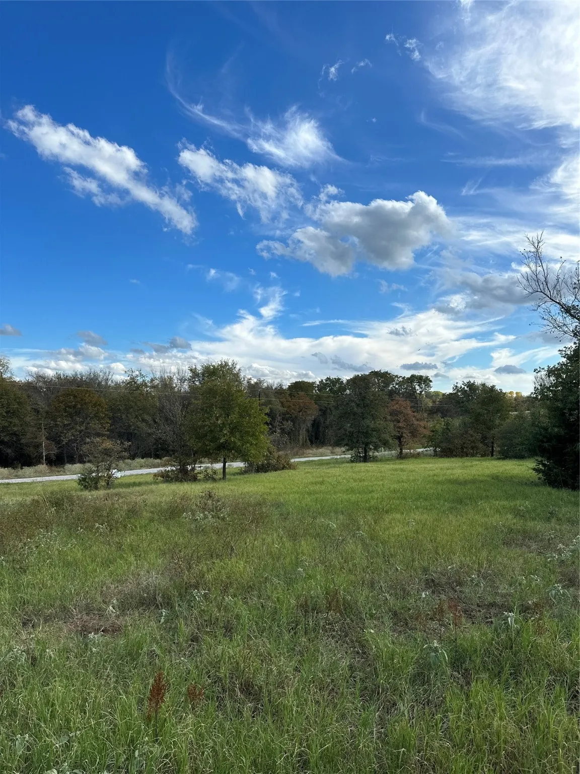 Unimproved Land For Sale in Montague County , 230 Blackjack Parkway, Nocona, Texas 76255, 0, 0, Garage spaces, 0 Sqft, built in 0, mls#20573099, Real Estate Agent in Nocona, Homes For Sale in Montague county, Homes For Sale in Nocona, Realtor in Nocona Texas, Real Estate Brokerage Independent Realty Texas, Luminita Cordes Realtor