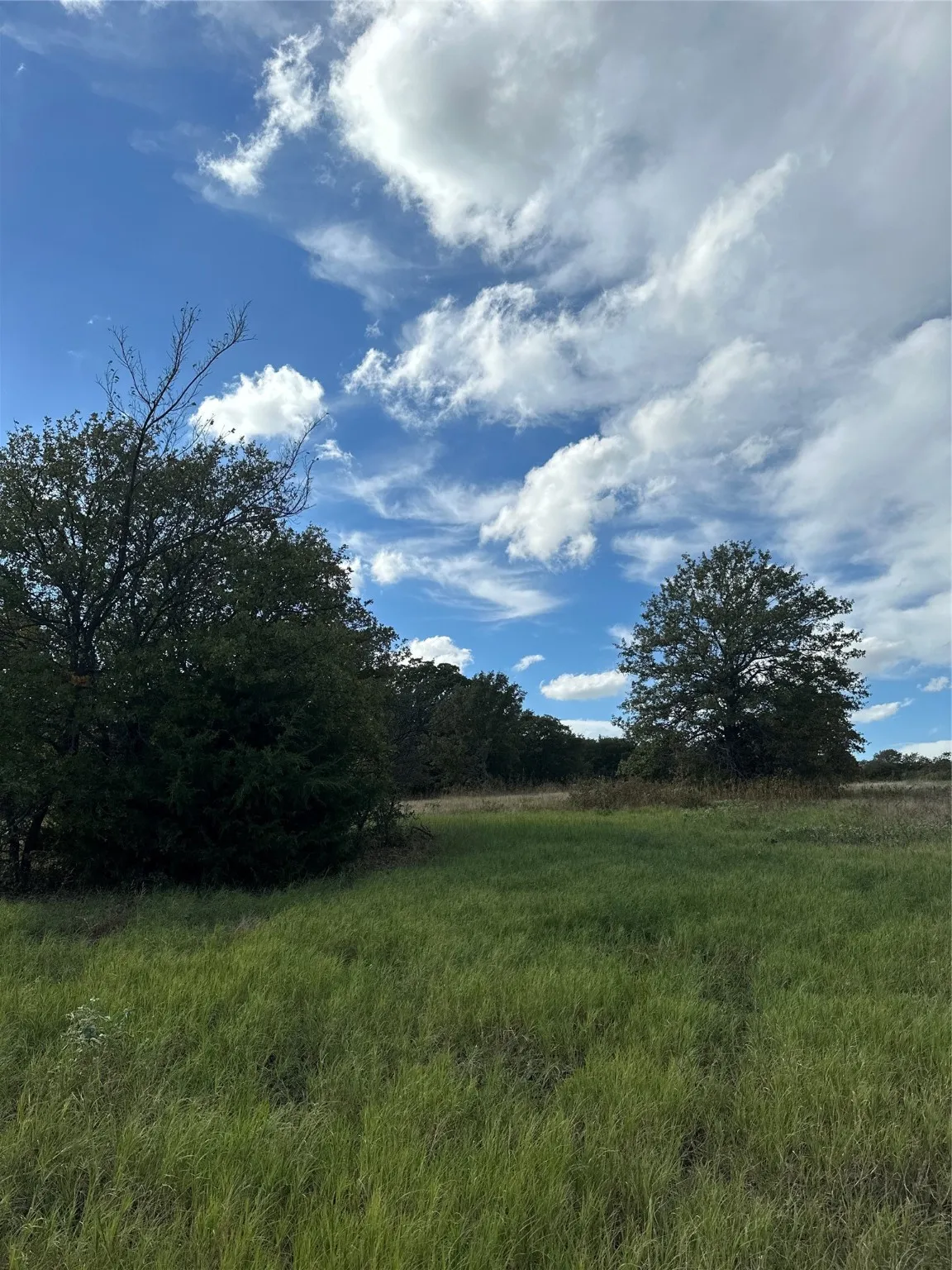 Unimproved Land For Sale in Montague County , 230 Blackjack Parkway, Nocona, Texas 76255, 0, 0, Garage spaces, 0 Sqft, built in 0, mls#20573099, Real Estate Agent in Nocona, Homes For Sale in Montague county, Homes For Sale in Nocona, Realtor in Nocona Texas, Real Estate Brokerage Independent Realty Texas, Luminita Cordes Realtor