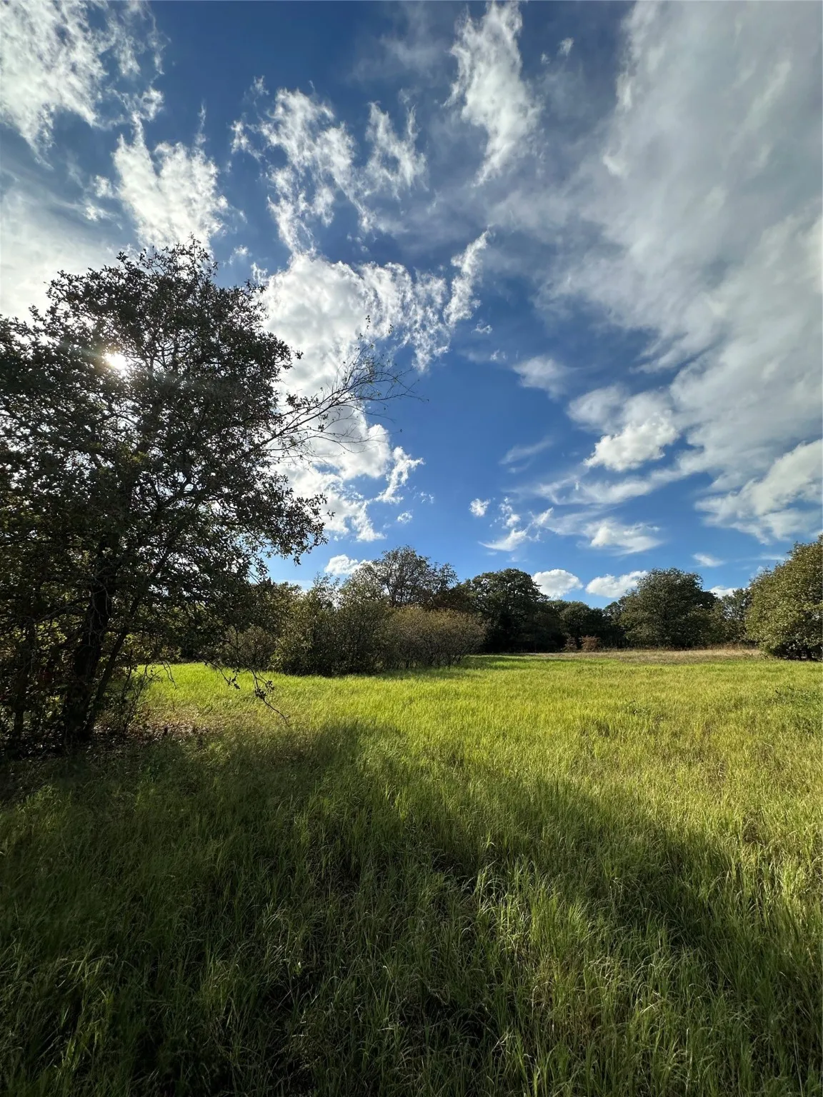 Unimproved Land For Sale in Montague County , 230 Blackjack Parkway, Nocona, Texas 76255, 0, 0, Garage spaces, 0 Sqft, built in 0, mls#20573099, Real Estate Agent in Nocona, Homes For Sale in Montague county, Homes For Sale in Nocona, Realtor in Nocona Texas, Real Estate Brokerage Independent Realty Texas, Luminita Cordes Realtor