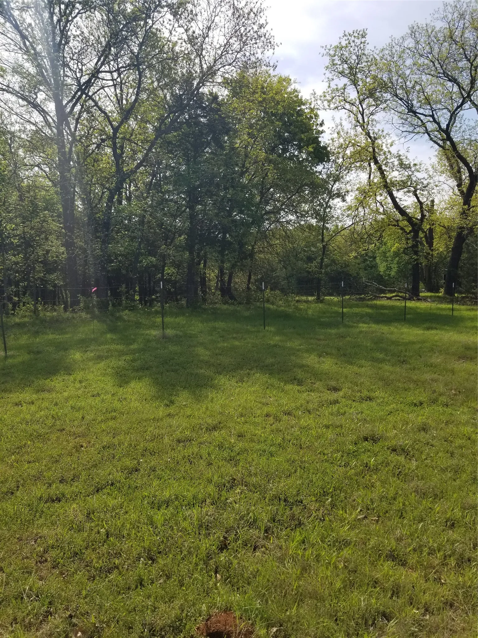 Another view of the property