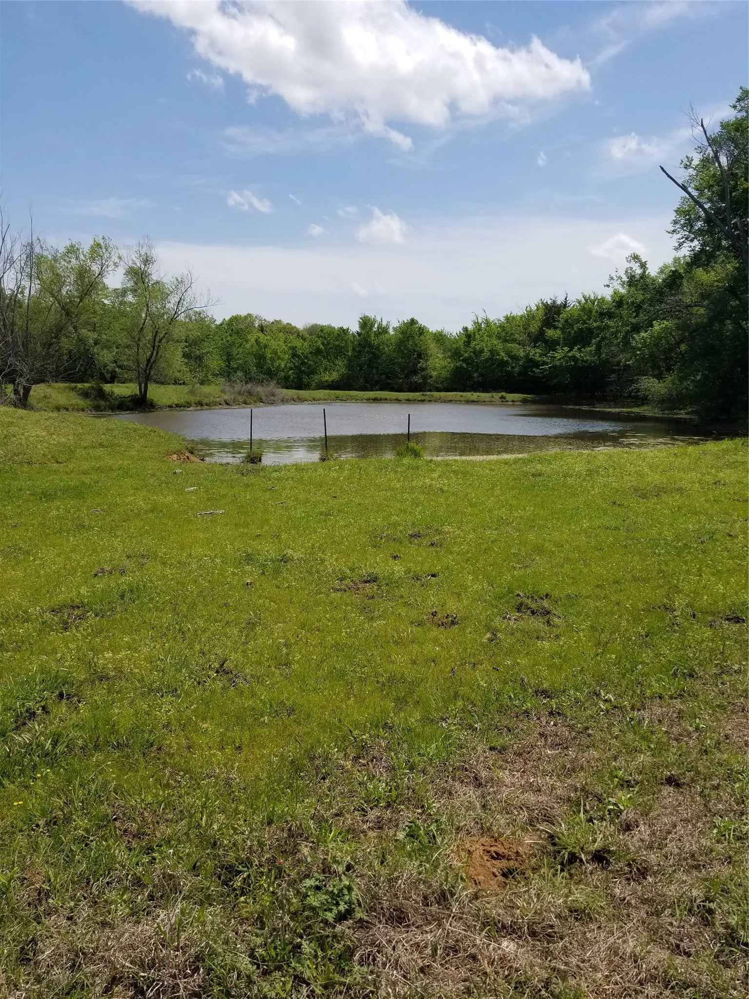   A view of the pond