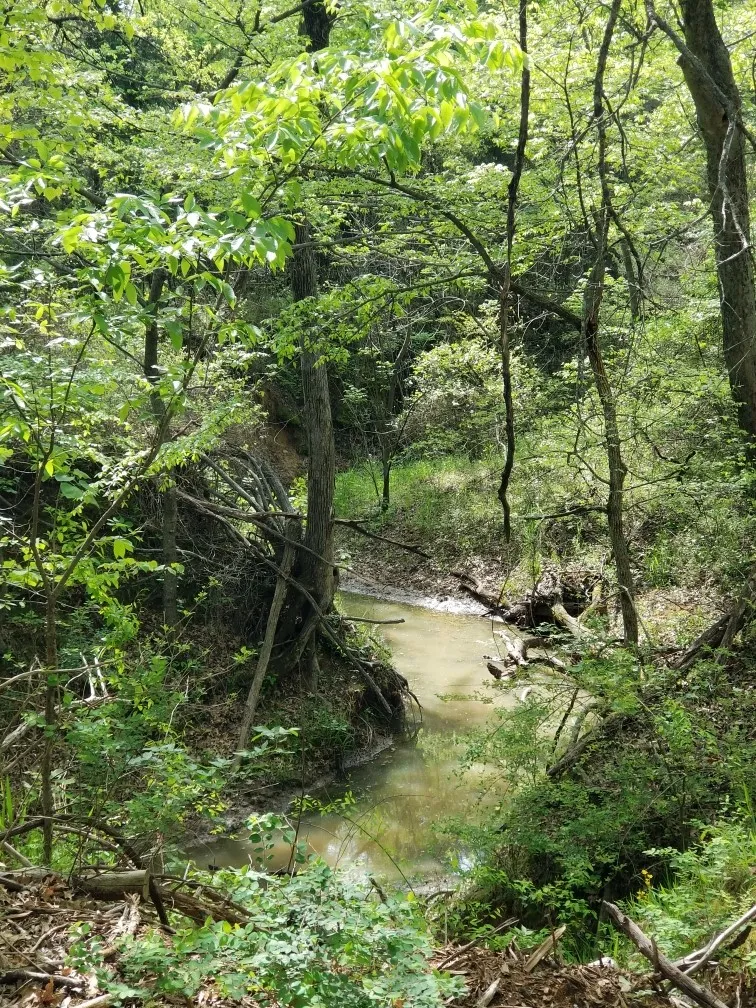 View of mother earth's splendor with a water view