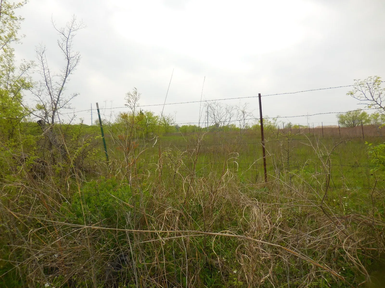 Unimproved Land For Sale in Hunt County , 202 Main Street, Greenville, Texas 75401, 0, 0, Garage spaces, 0 Sqft, built in 0, Price $1,500,000, mls#20559026, Real Estate Agent in Greenville, Homes For Sale in Hunt county, Homes For Sale in Greenville, Realtor in Greenville Texas, Real Estate Brokerage Independent Realty Texas, Luminita Cordes Realtor