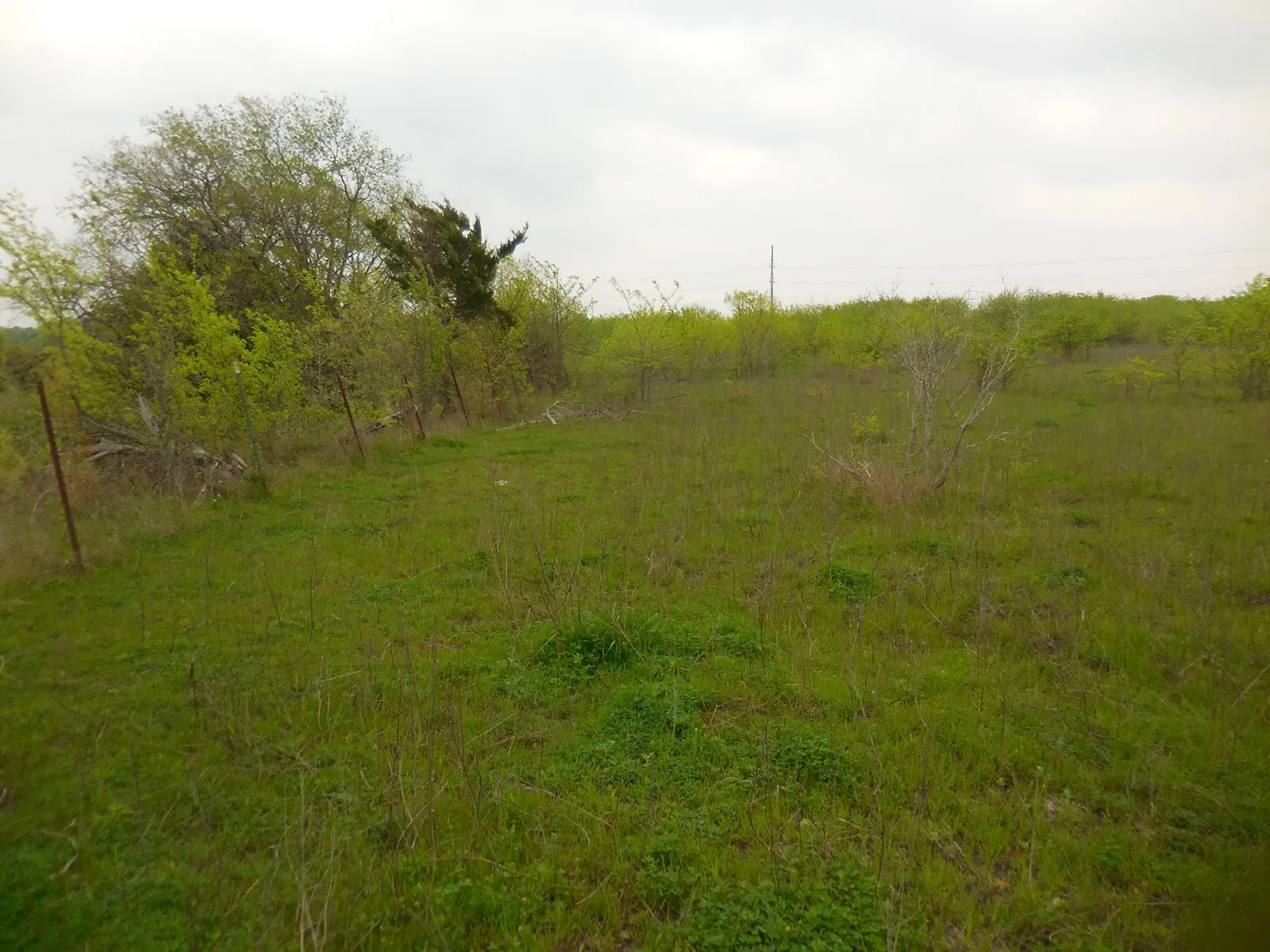 Unimproved Land For Sale in Hunt County , 202 Main Street, Greenville, Texas 75401, 0, 0, Garage spaces, 0 Sqft, built in 0, Price $1,500,000, mls#20559026, Real Estate Agent in Greenville, Homes For Sale in Hunt county, Homes For Sale in Greenville, Realtor in Greenville Texas, Real Estate Brokerage Independent Realty Texas, Luminita Cordes Realtor