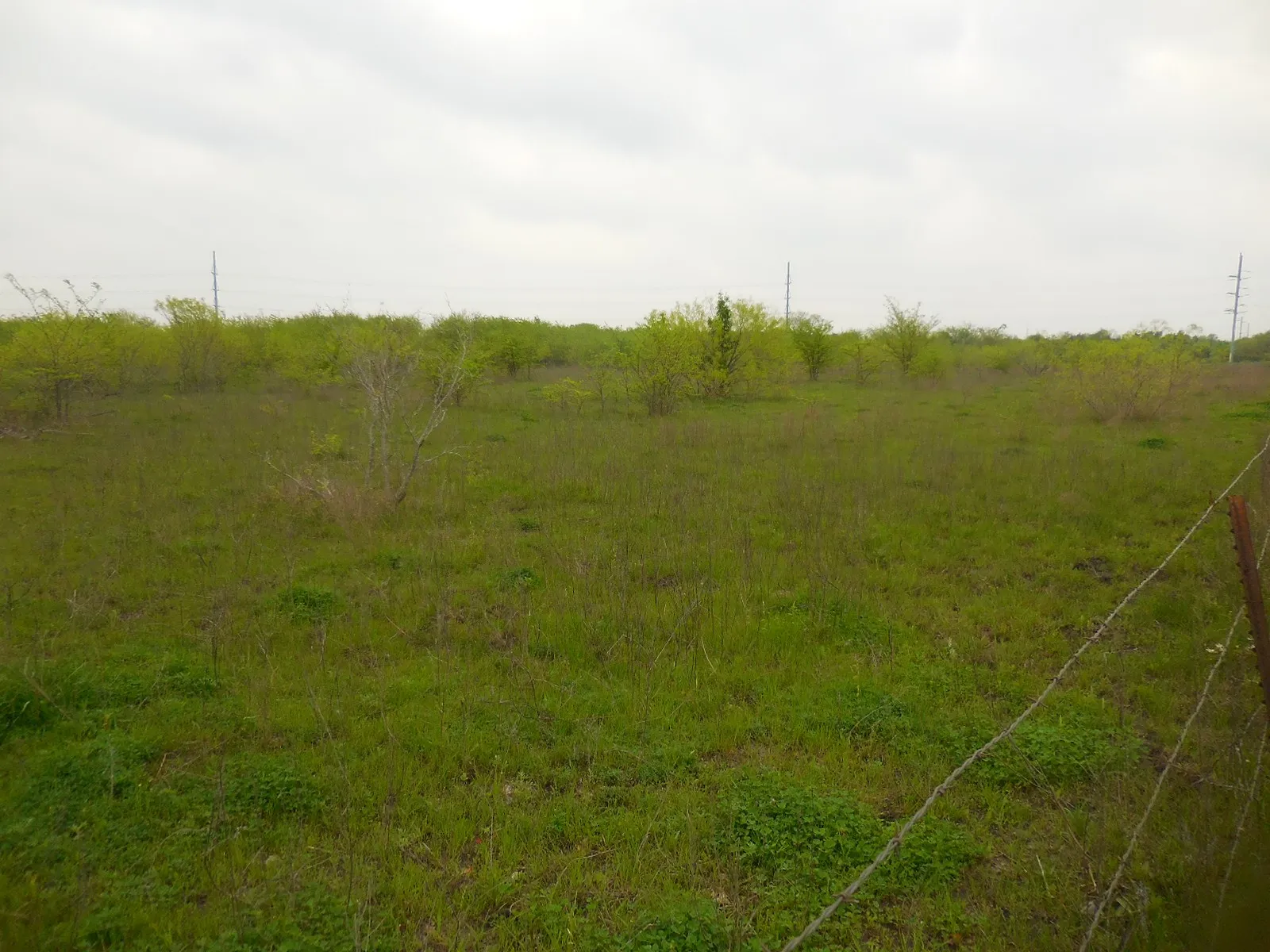 Unimproved Land For Sale in Hunt County , 202 Main Street, Greenville, Texas 75401, 0, 0, Garage spaces, 0 Sqft, built in 0, Price $1,500,000, mls#20559026, Real Estate Agent in Greenville, Homes For Sale in Hunt county, Homes For Sale in Greenville, Realtor in Greenville Texas, Real Estate Brokerage Independent Realty Texas, Luminita Cordes Realtor