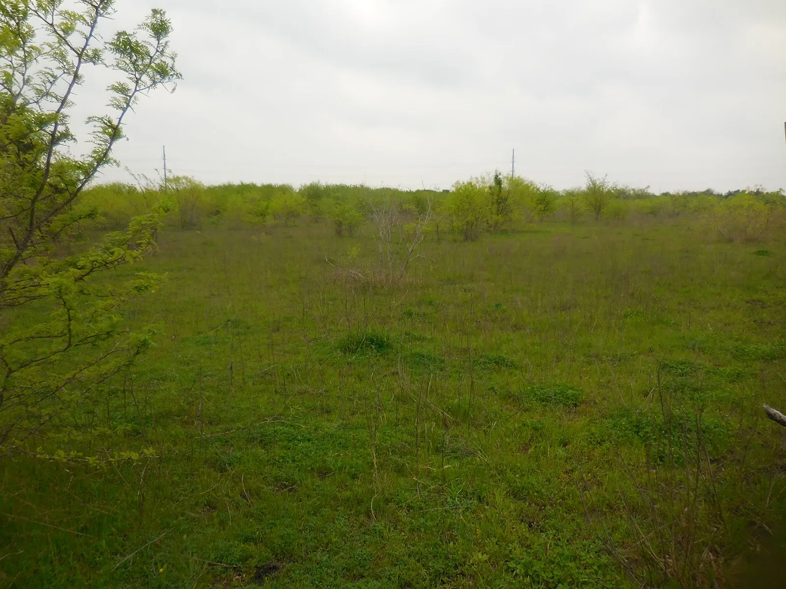 Unimproved Land For Sale in Hunt County , 202 Main Street, Greenville, Texas 75401, 0, 0, Garage spaces, 0 Sqft, built in 0, Price $1,500,000, mls#20559026, Real Estate Agent in Greenville, Homes For Sale in Hunt county, Homes For Sale in Greenville, Realtor in Greenville Texas, Real Estate Brokerage Independent Realty Texas, Luminita Cordes Realtor