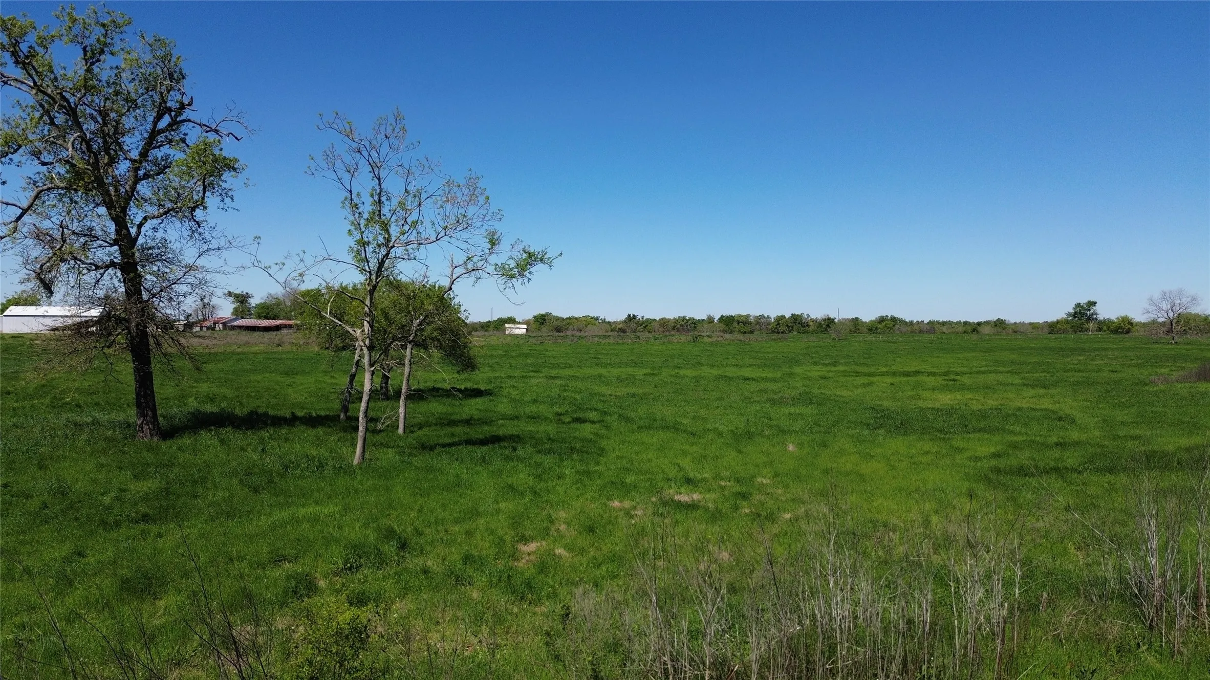 Unimproved Land For Sale in Rains County , 4.98 Acres Rs County Road 3410, Emory, Texas 75440, 0, 0, Garage spaces, 0 Sqft, built in 0, Price $161,500, mls#20575406, Real Estate Agent in Emory, Homes For Sale in Rains county, Homes For Sale in Emory, Realtor in Emory Texas, Real Estate Brokerage Independent Realty Texas, Luminita Cordes Realtor