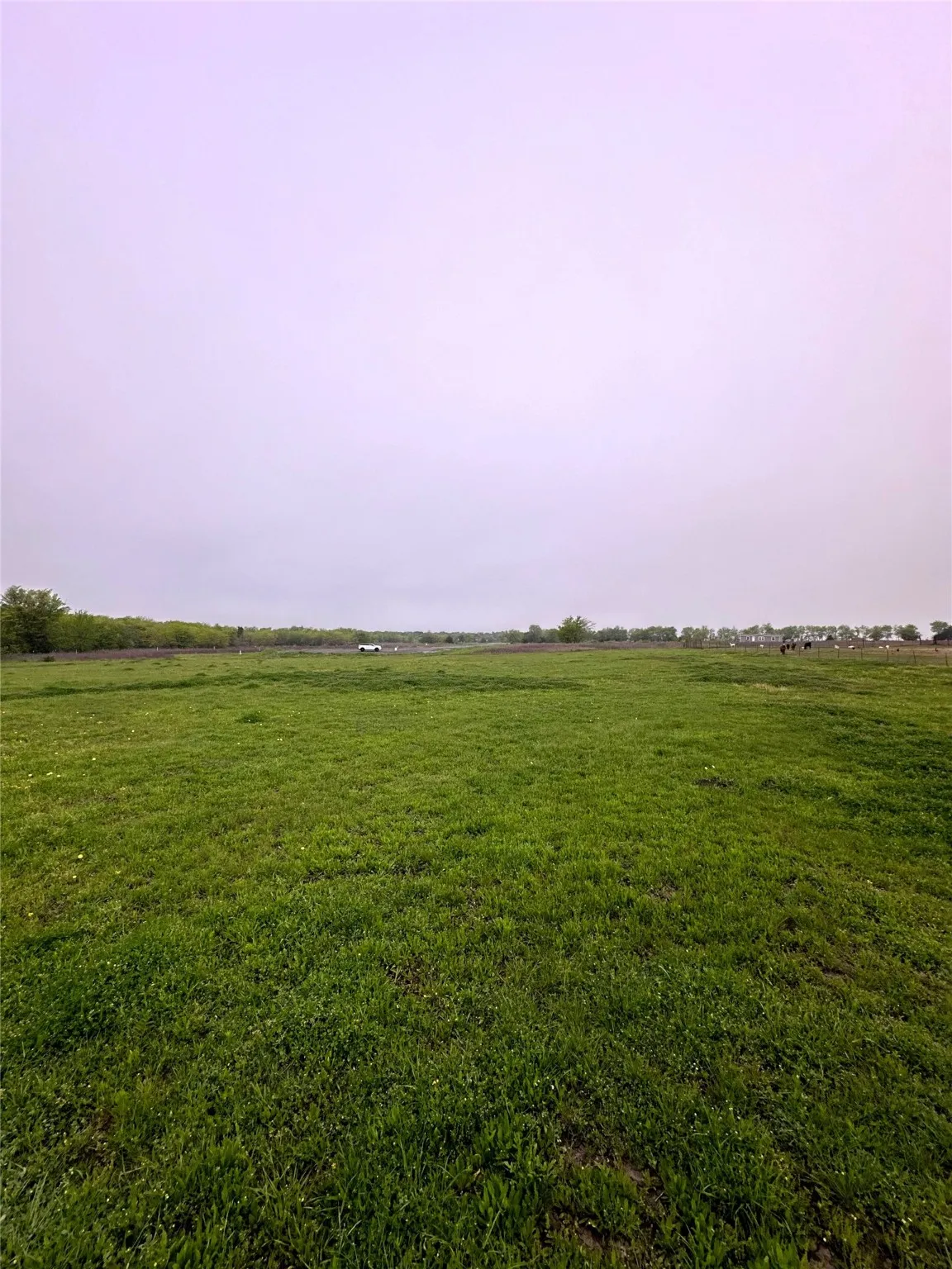 View from halfway into the property looking back at the cul-de-sac