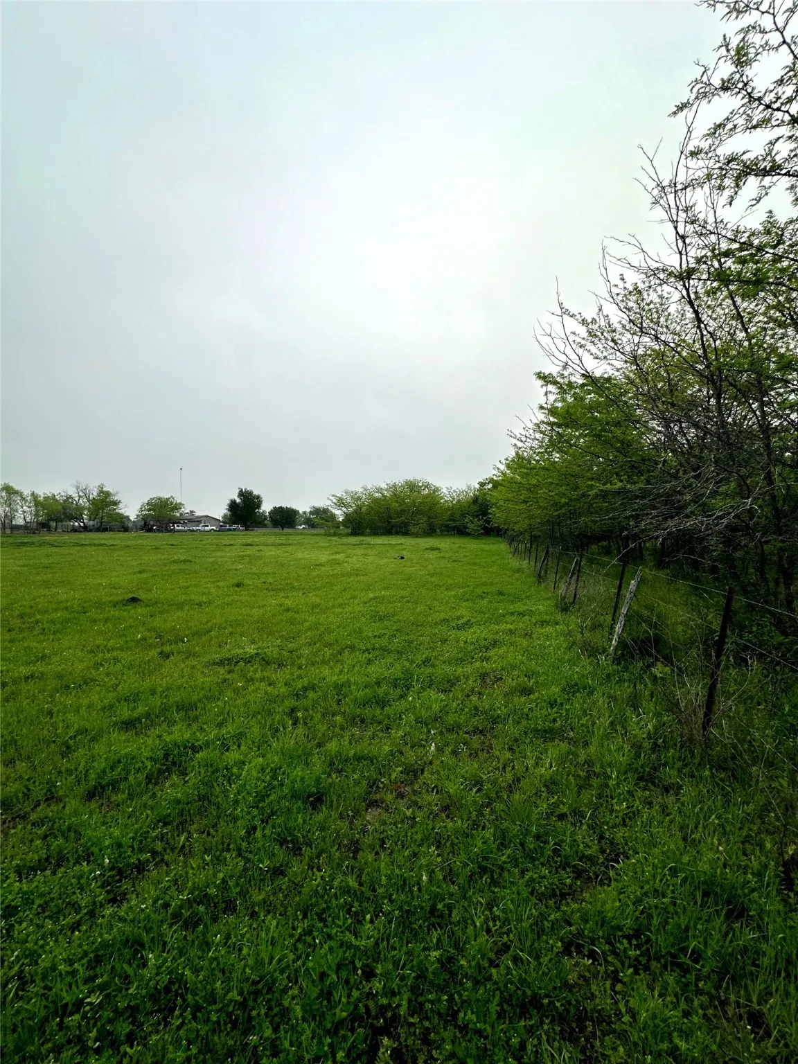View of right-hand tree/fence line
