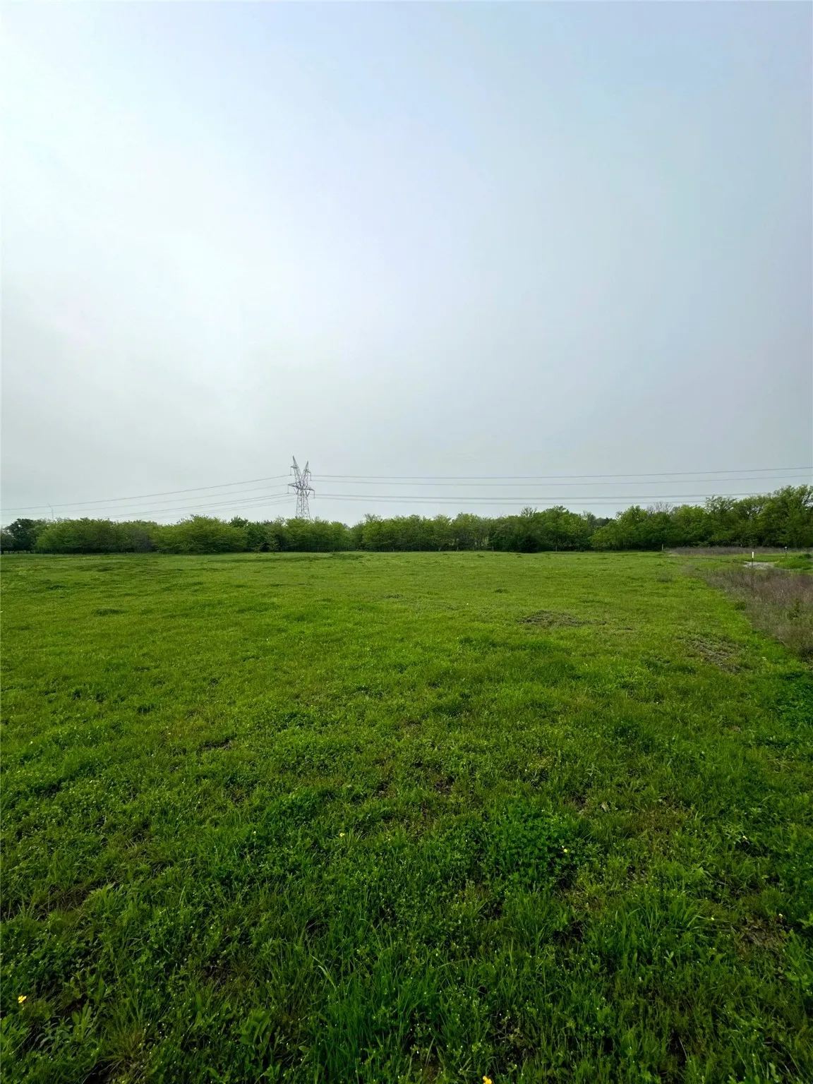 View from left-hand side of the property