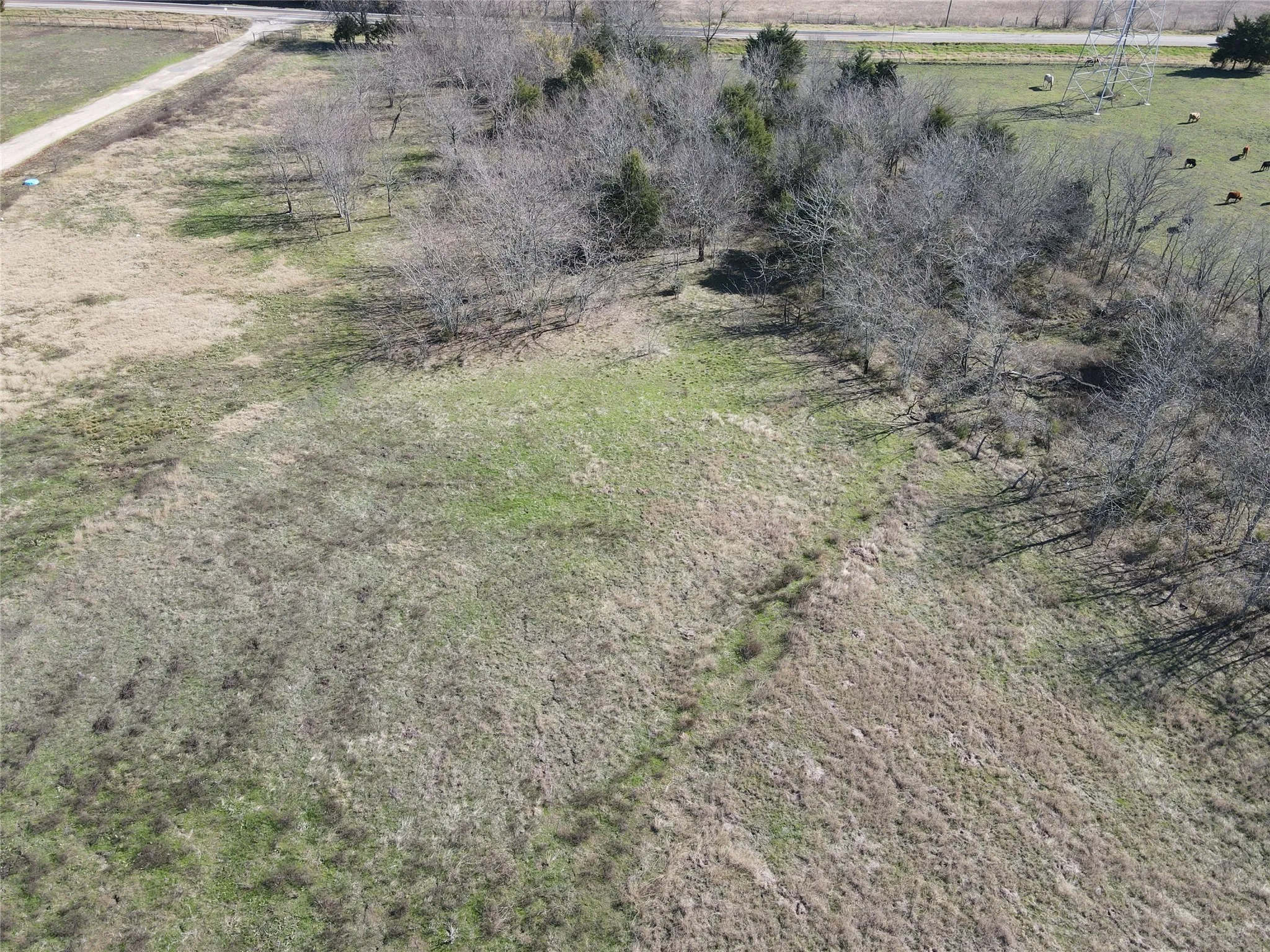 Drone / aerial view featuring a rural view