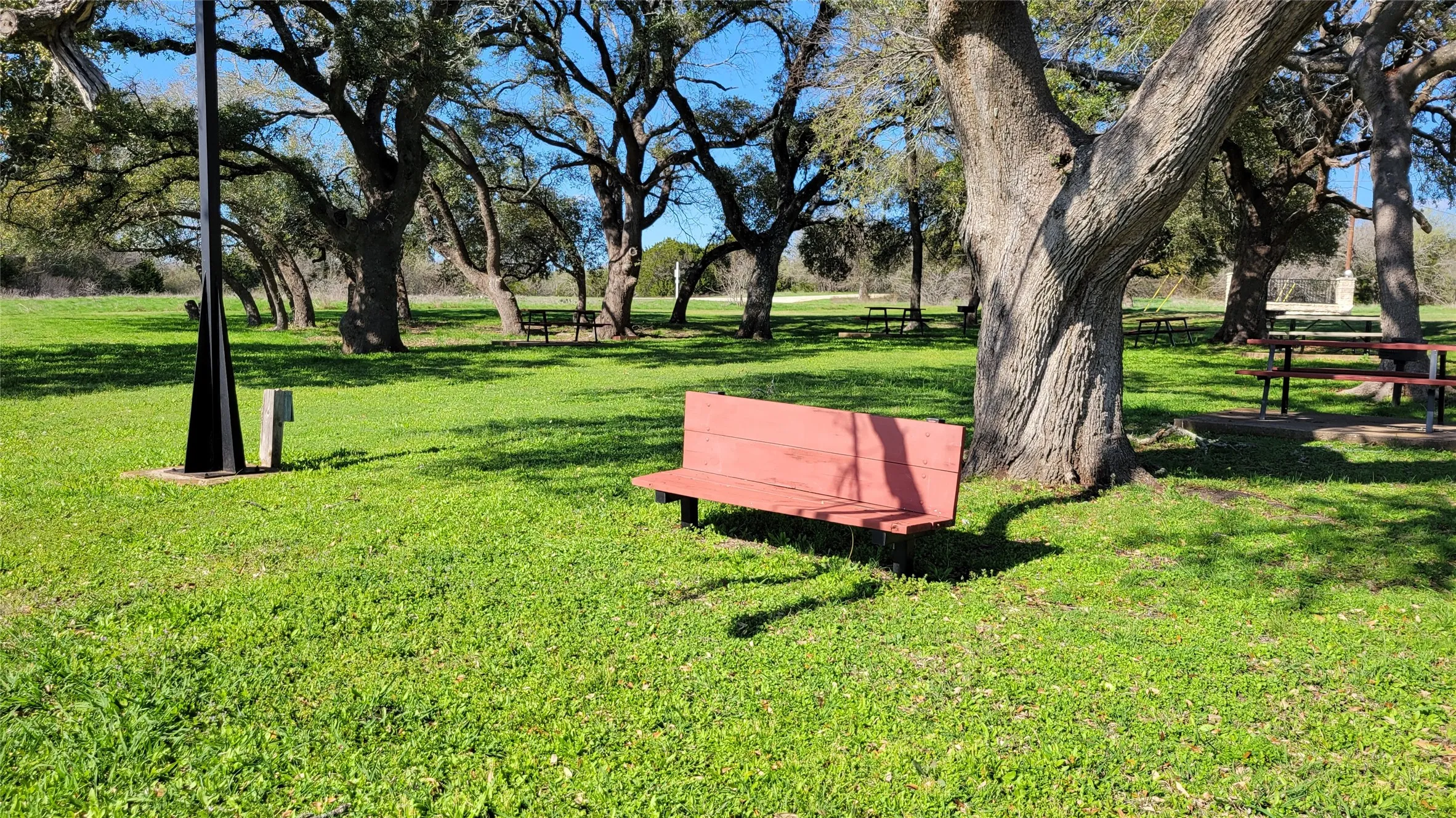 View of nearby features featuring a yard