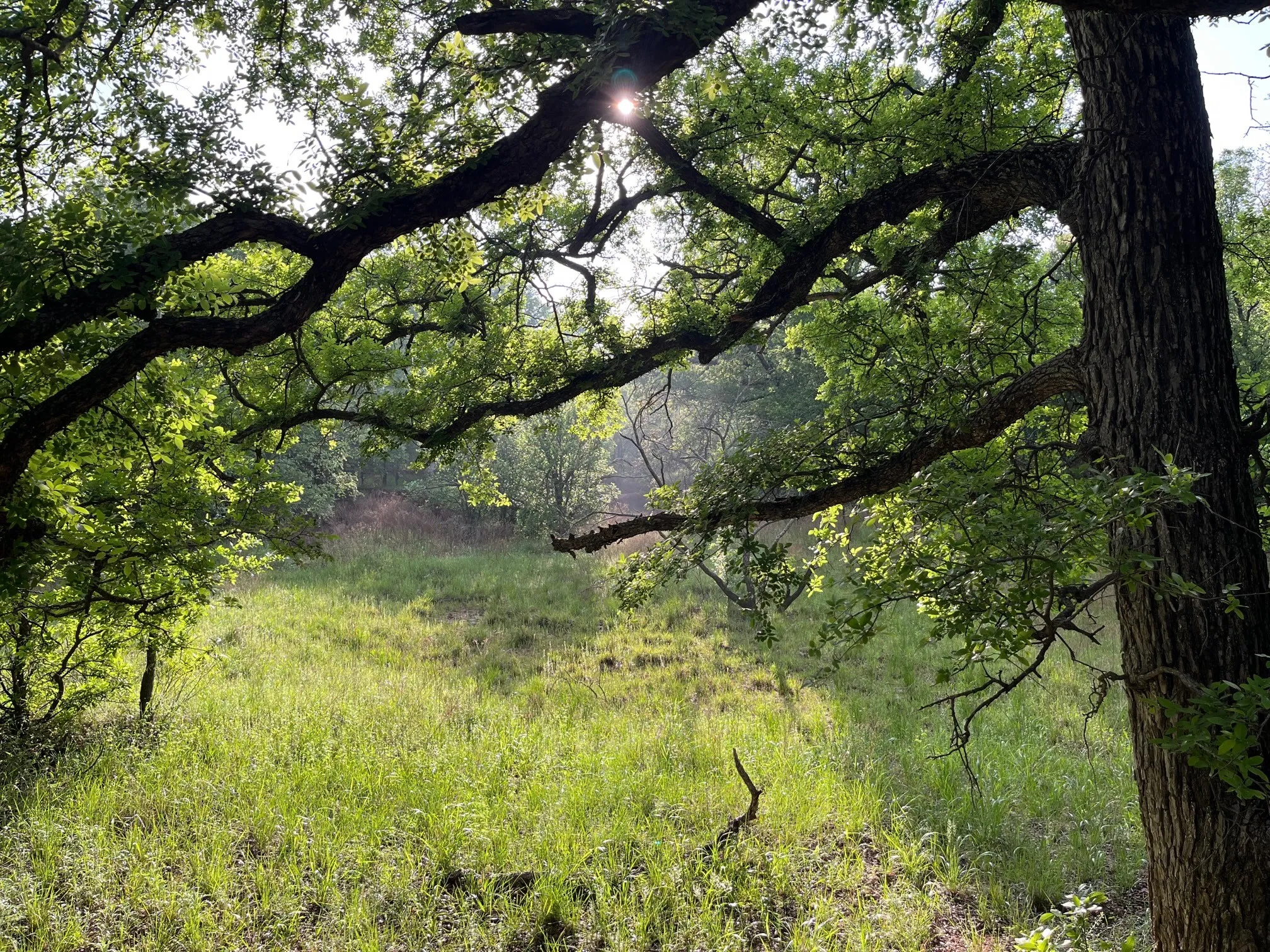 View of mother earth's splendor